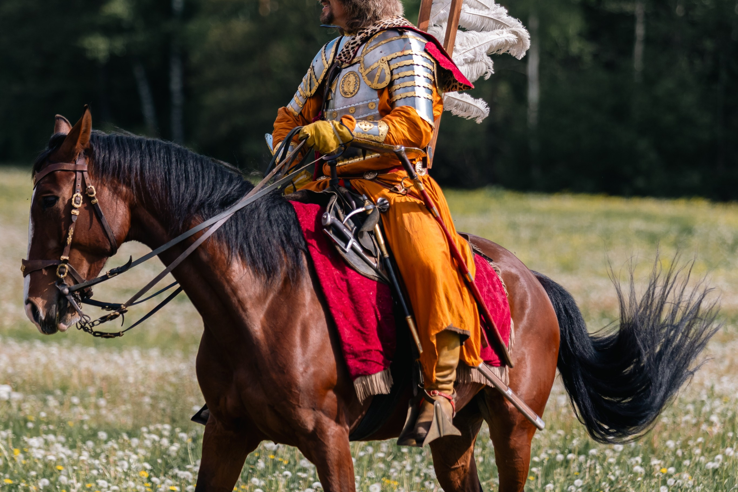 Золотая шпора. Маневры 17 века. Профессиональный интерьерный и репортажный фотограф Минск и РБ. Максим Орлов