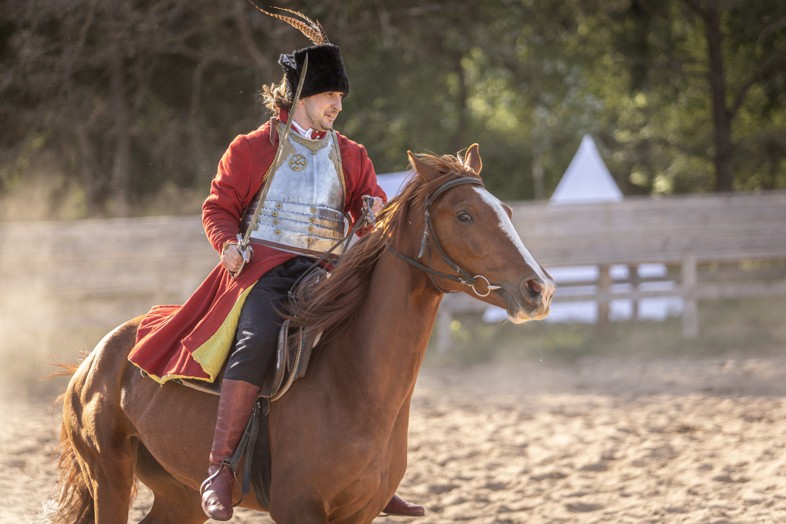 Золотая Шпора. Огнем и Мечем. День первый. Рыцарский турнир. Профессиональный интерьерный и репортажный фотограф Минск и РБ. Максим Орлов