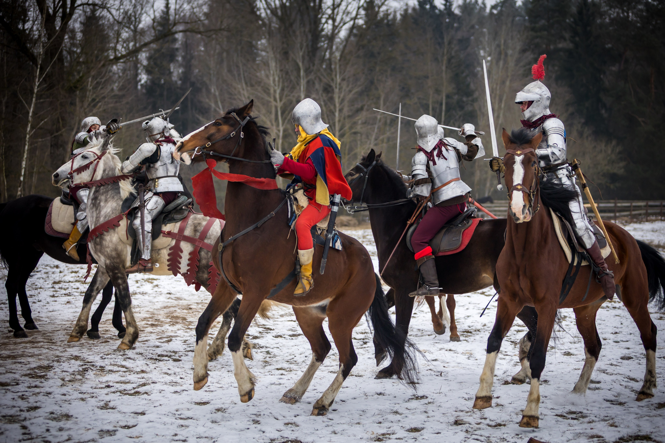 Зимние маневры «Золотой шпоры». 2025. Профессиональный интерьерный и репортажный фотограф Минск и РБ. Максим Орлов