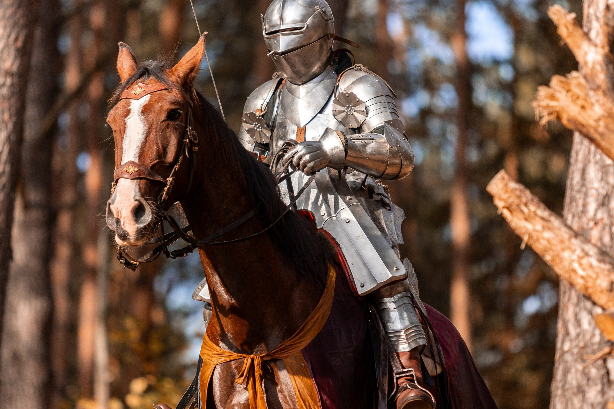 Рыцарская с Афиной. Дима Теслик. Профессиональный интерьерный и репортажный фотограф Минск и РБ. Максим Орлов