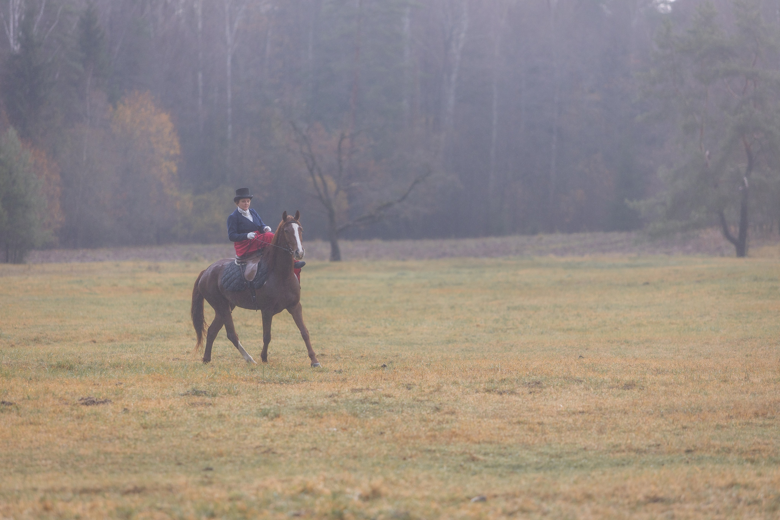 Ампирный выезд. Профессиональный интерьерный и репортажный фотограф Минск и РБ. Максим Орлов