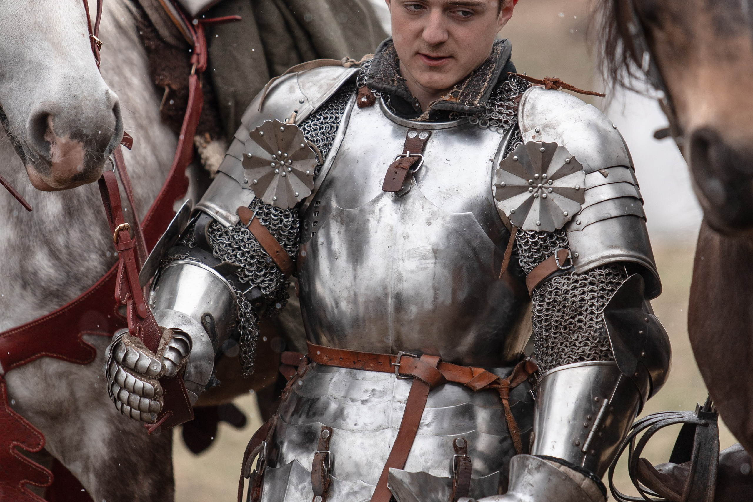 Турнир «Золотой шпоры». Профессиональный интерьерный и репортажный фотограф Минск и РБ. Максим Орлов