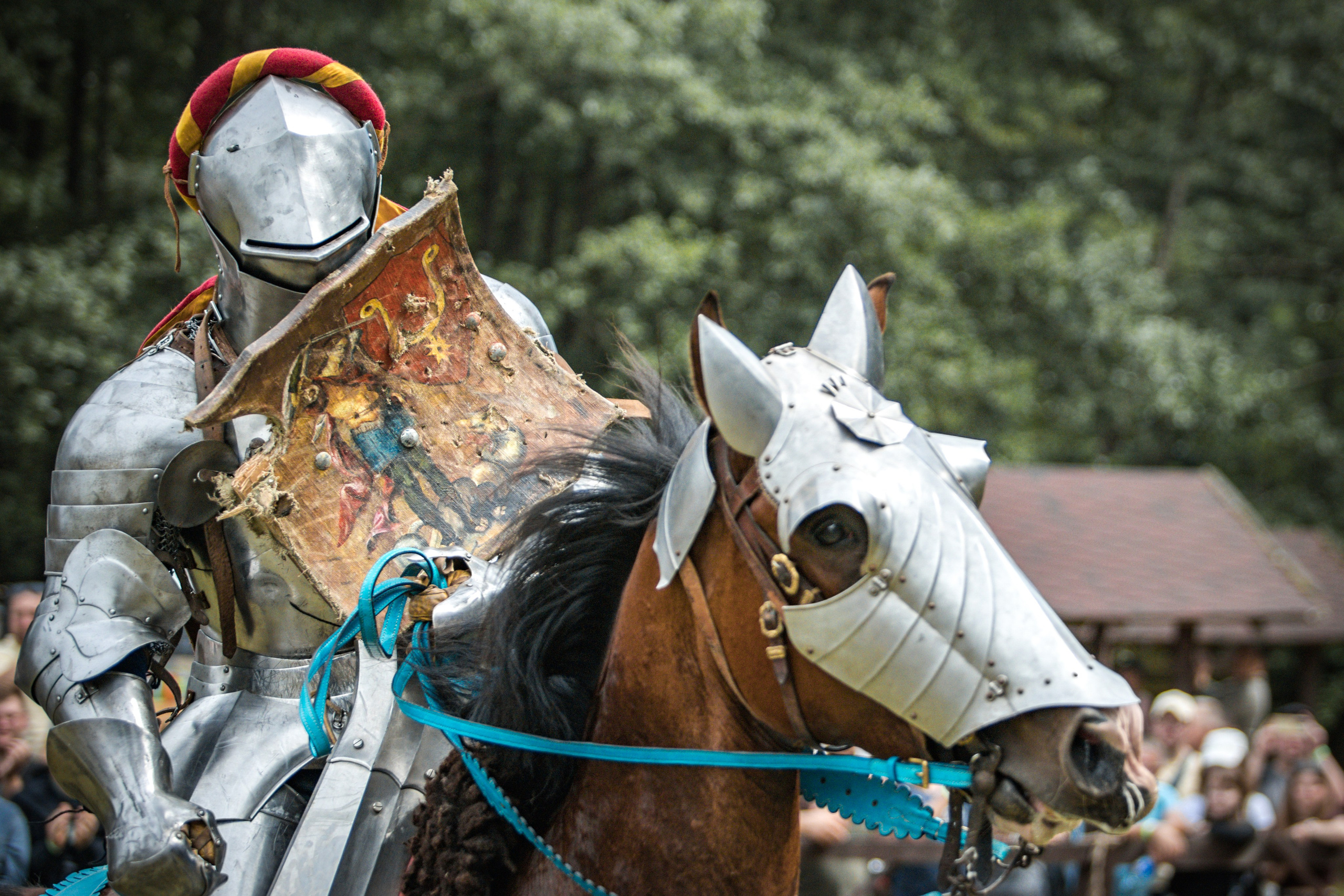 Наш Грюнвальд 2025. Рыцарский турнир. Профессиональный интерьерный и репортажный фотограф Минск и РБ. Максим Орлов