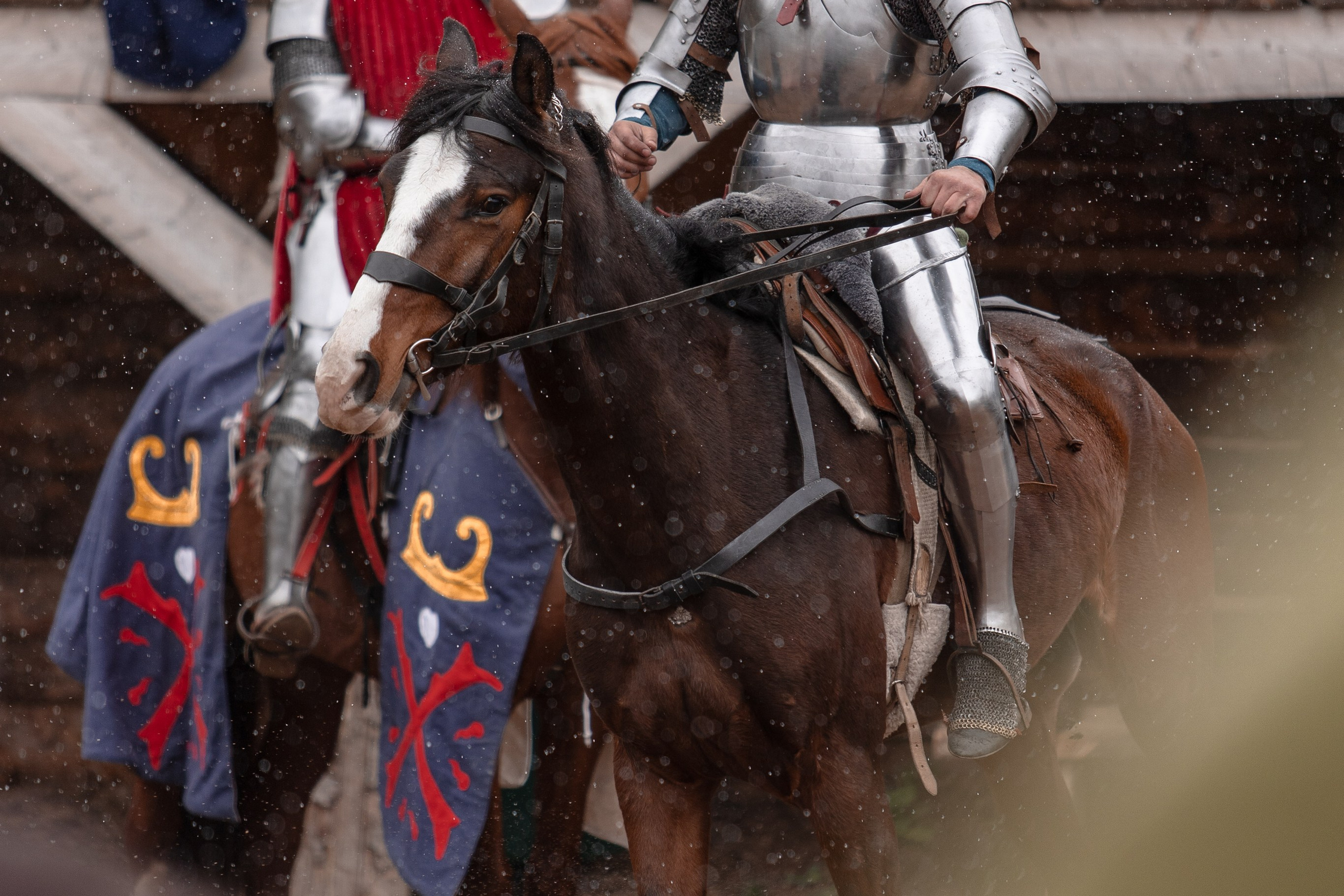 Турнир «Золотой шпоры». Профессиональный интерьерный и репортажный фотограф Минск и РБ. Максим Орлов
