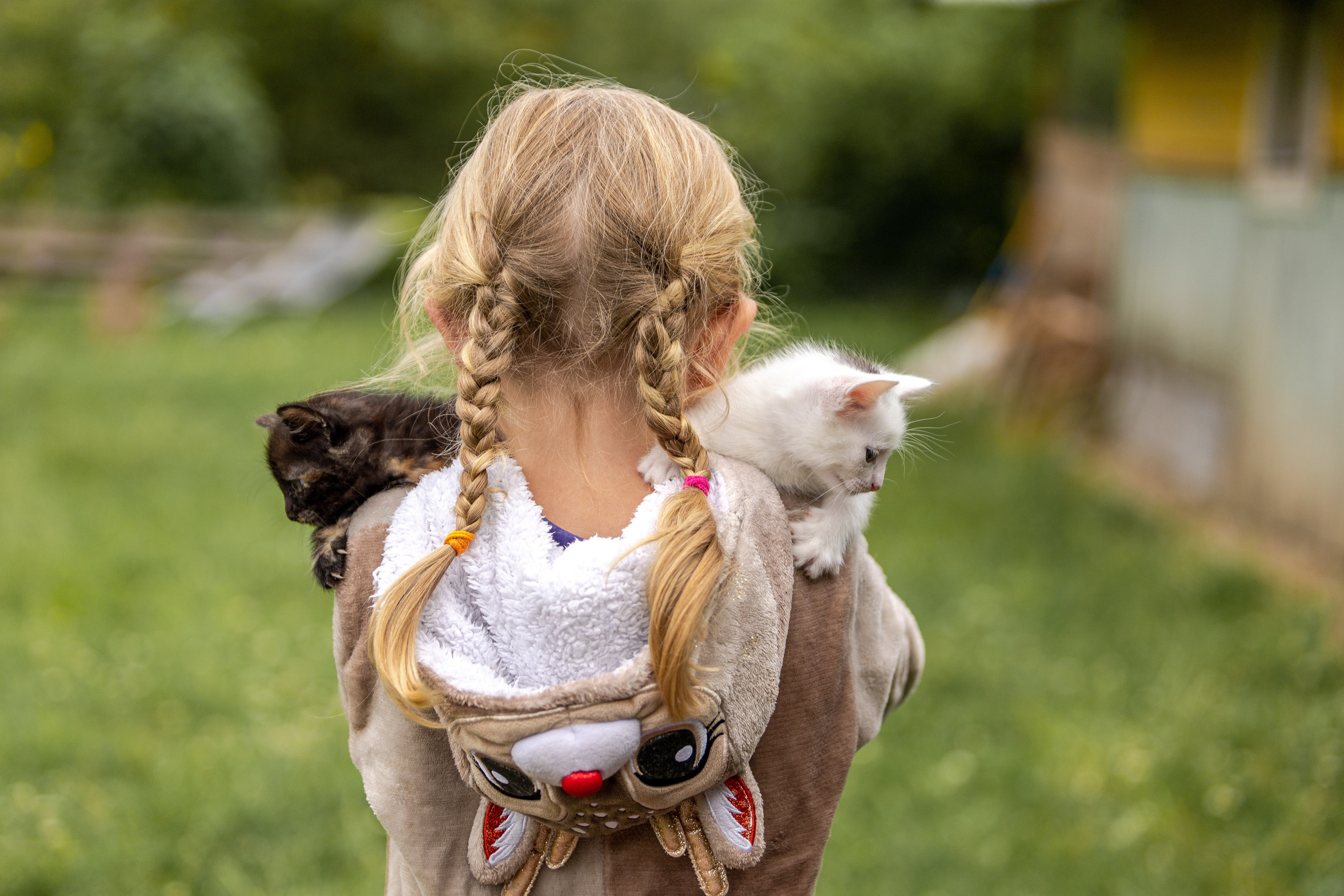 Аня. Профессиональный интерьерный и репортажный фотограф Минск и РБ. Максим Орлов