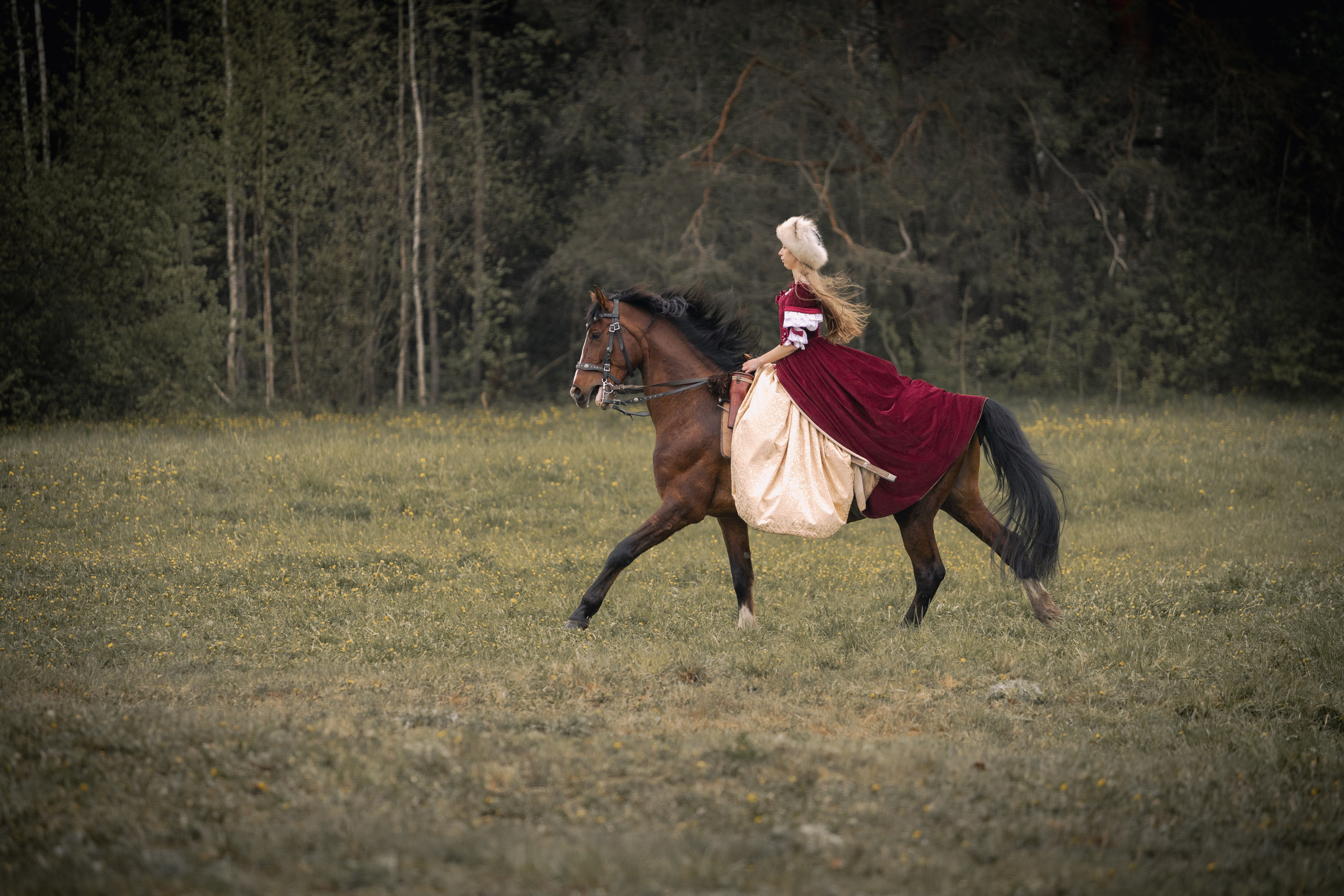 Золотая шпора. Огнем и мечем. День третий. Бой на поле. Профессиональный интерьерный и репортажный фотограф Минск и РБ. Максим Орлов