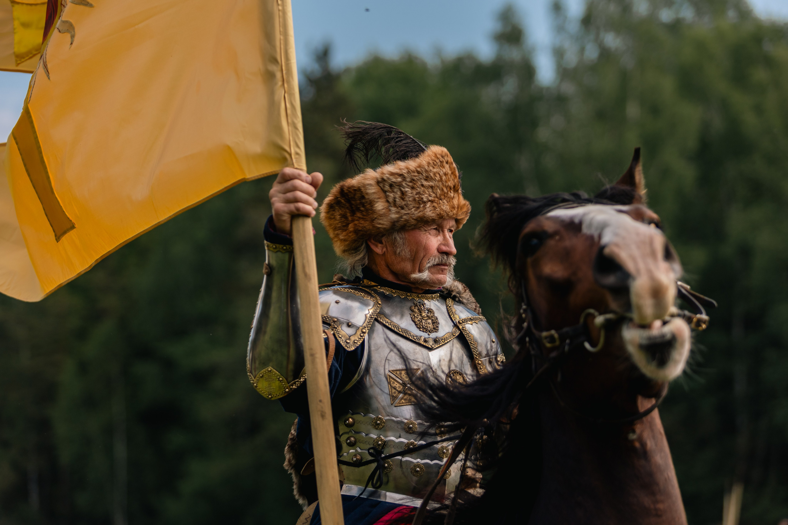 Золотая шпора. Маневры 17 века. Профессиональный интерьерный и репортажный фотограф Минск и РБ. Максим Орлов