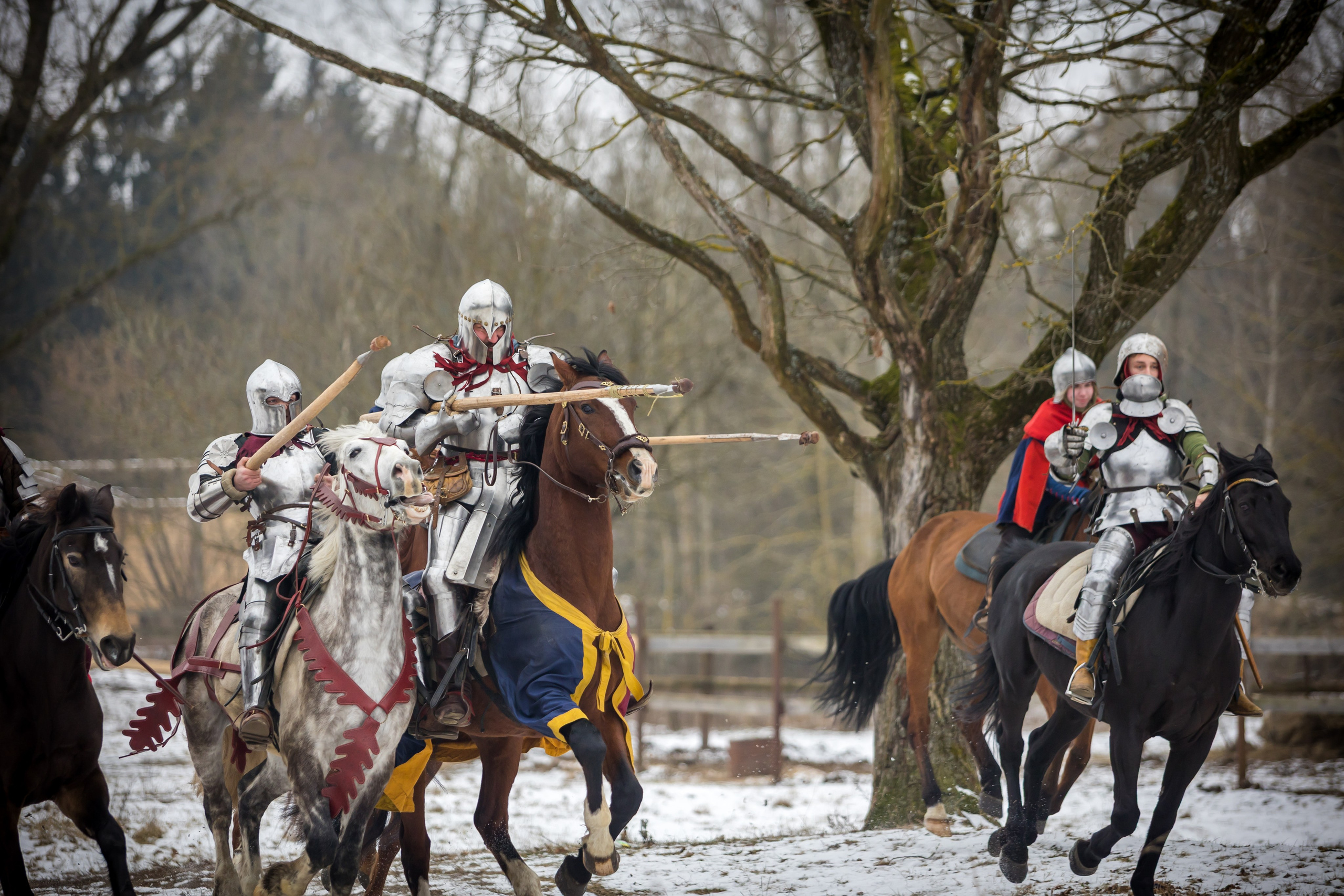Зимние маневры «Золотой шпоры». 2025. Профессиональный интерьерный и репортажный фотограф Минск и РБ. Максим Орлов