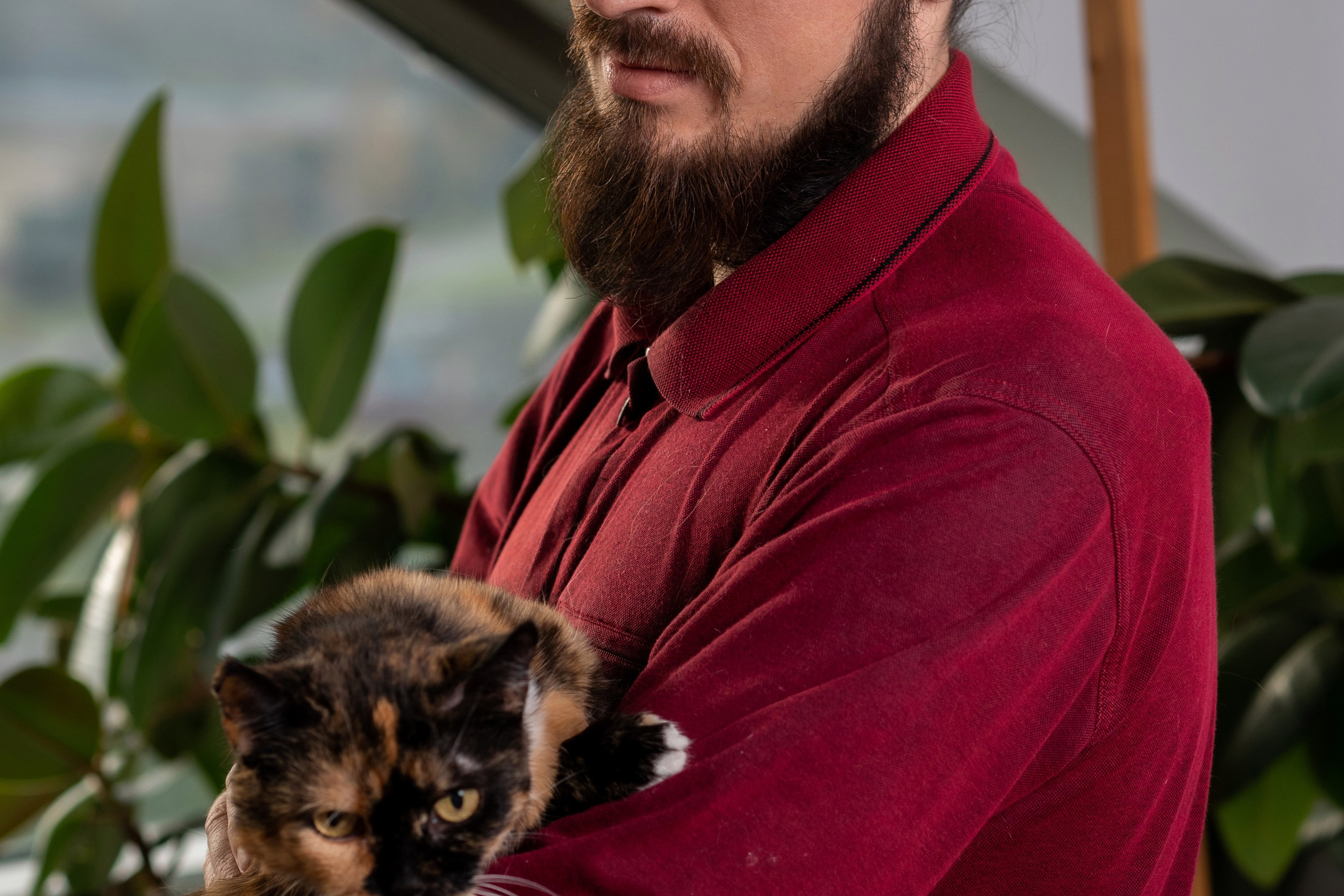 Котики для Old Cat. Профессиональный интерьерный и репортажный фотограф Минск и РБ. Максим Орлов