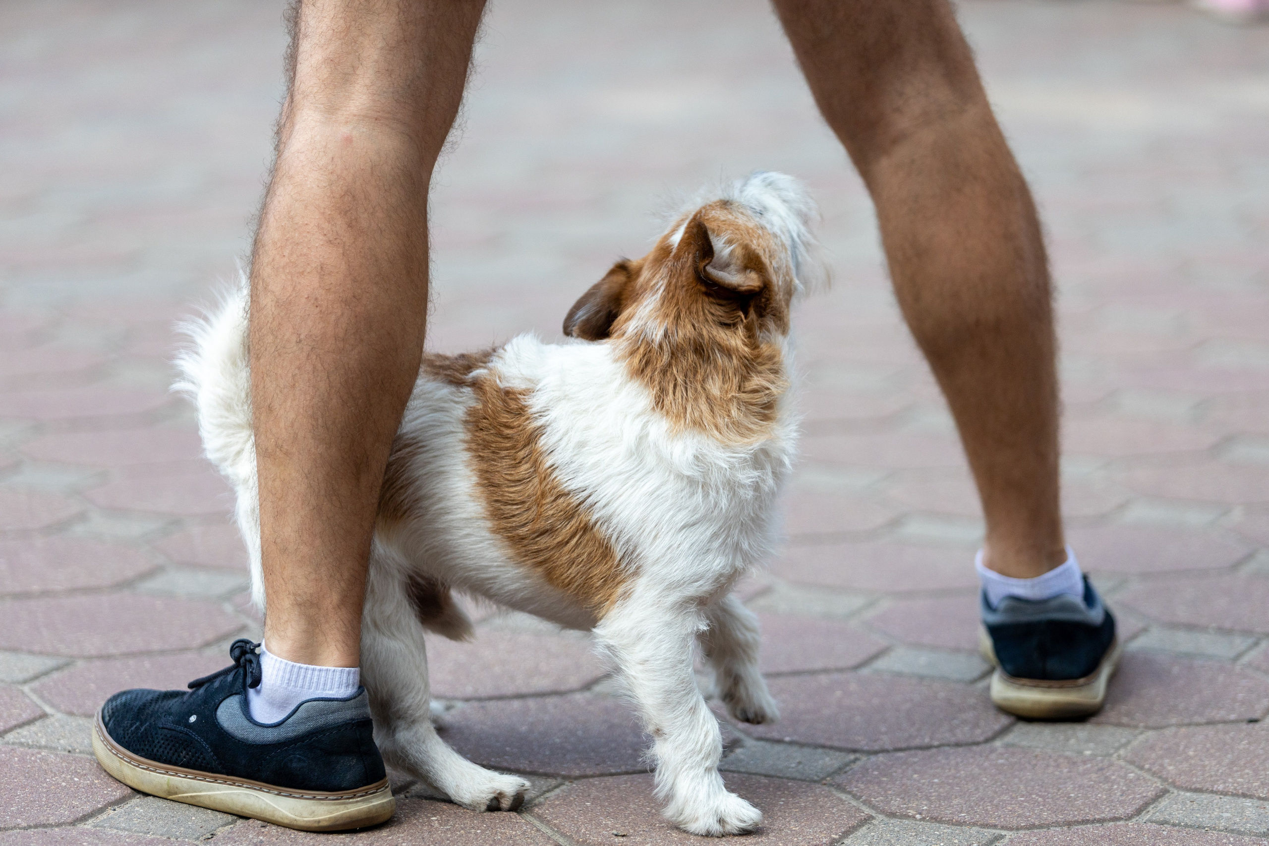 Детифест. Профессиональный интерьерный и репортажный фотограф Минск и РБ. Максим Орлов