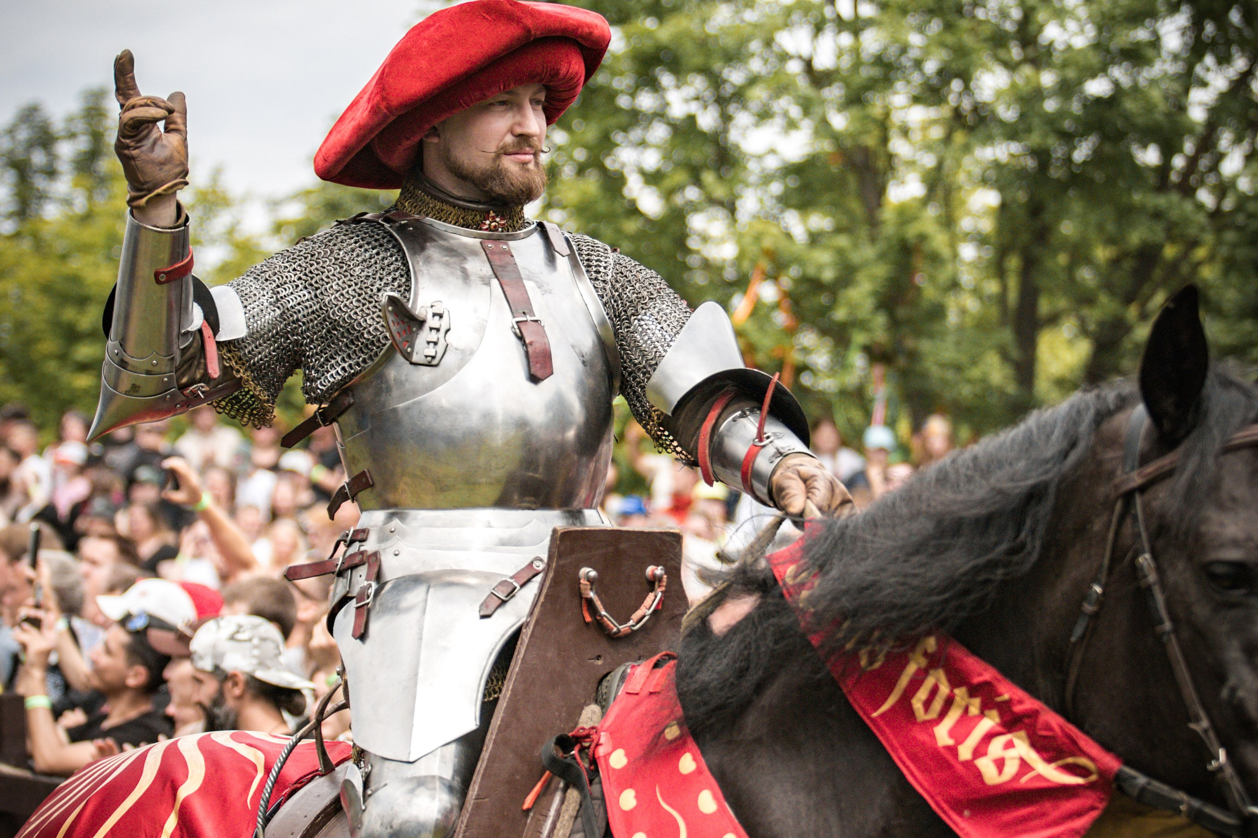 Наш Грюнвальд 2025. Рыцарский турнир. Профессиональный интерьерный и репортажный фотограф Минск и РБ. Максим Орлов