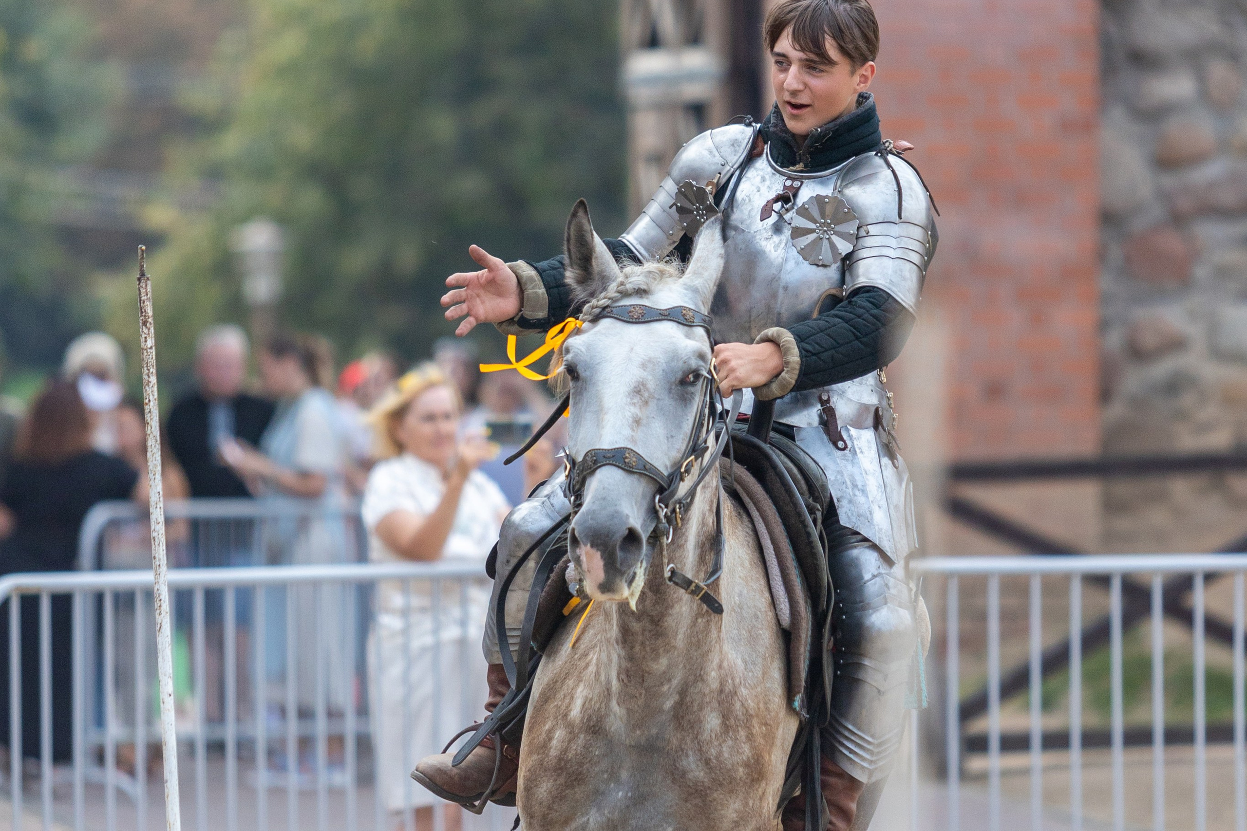 Выступление «Золотой шпоры» на празднике города Лиды. Профессиональный интерьерный и репортажный фотограф Минск и РБ. Максим Орлов