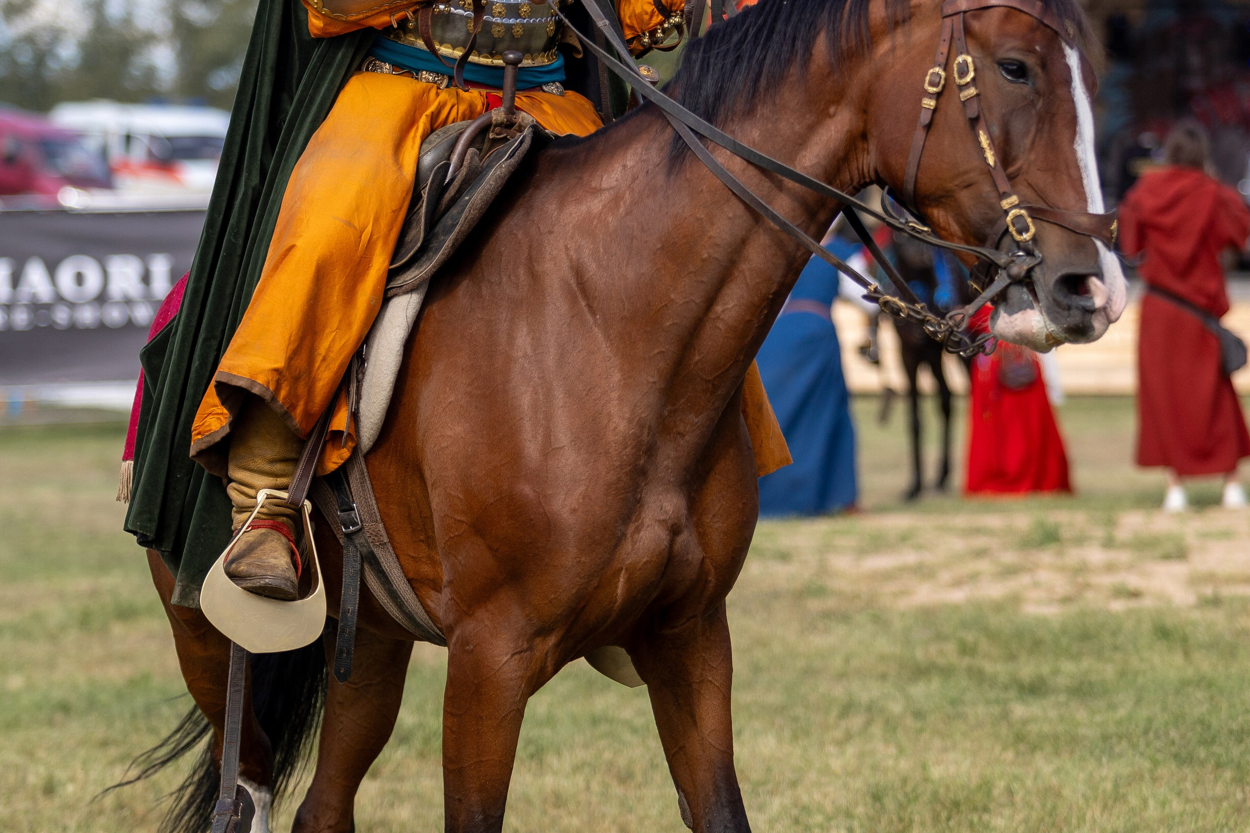 Рыцарский фест. Мстиславль. Профессиональный интерьерный и репортажный фотограф Минск и РБ. Максим Орлов