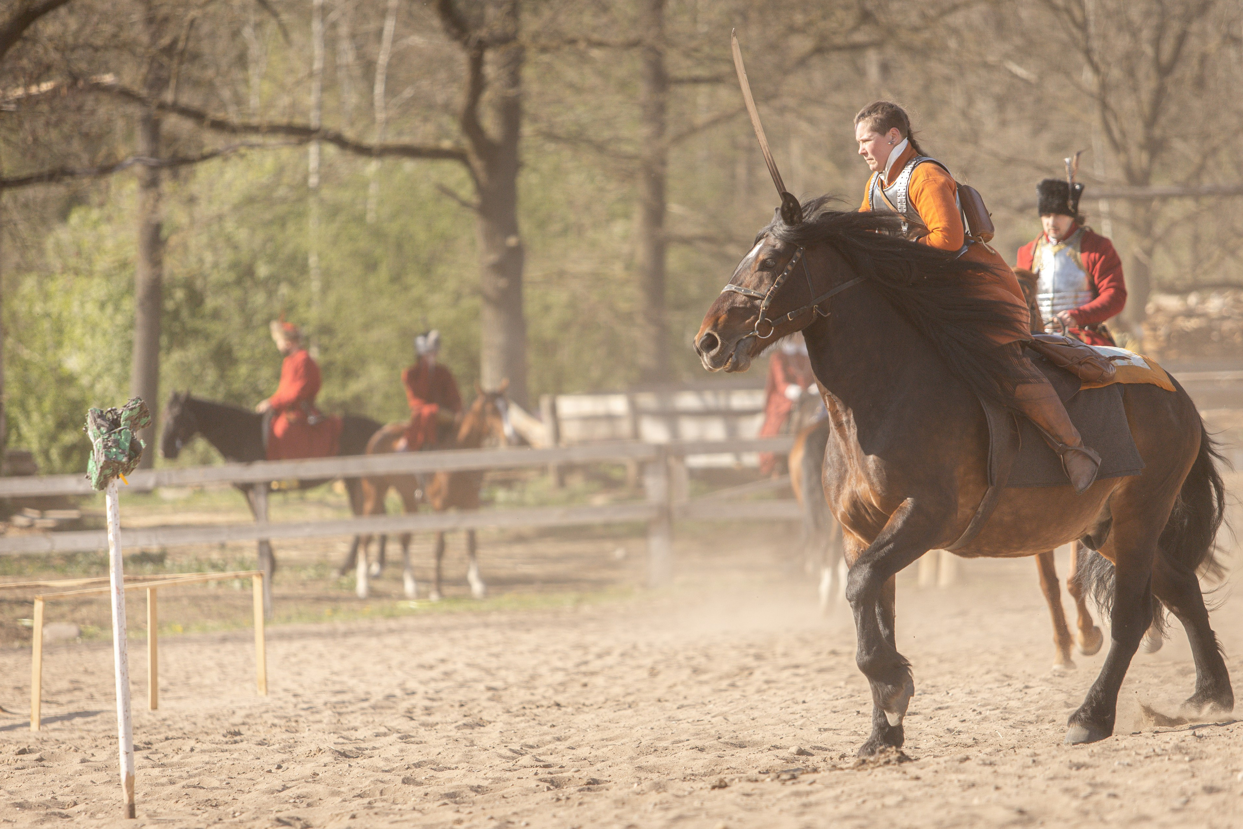 Золотая Шпора. Огнем и Мечем. День первый. Рыцарский турнир. Профессиональный интерьерный и репортажный фотограф Минск и РБ. Максим Орлов