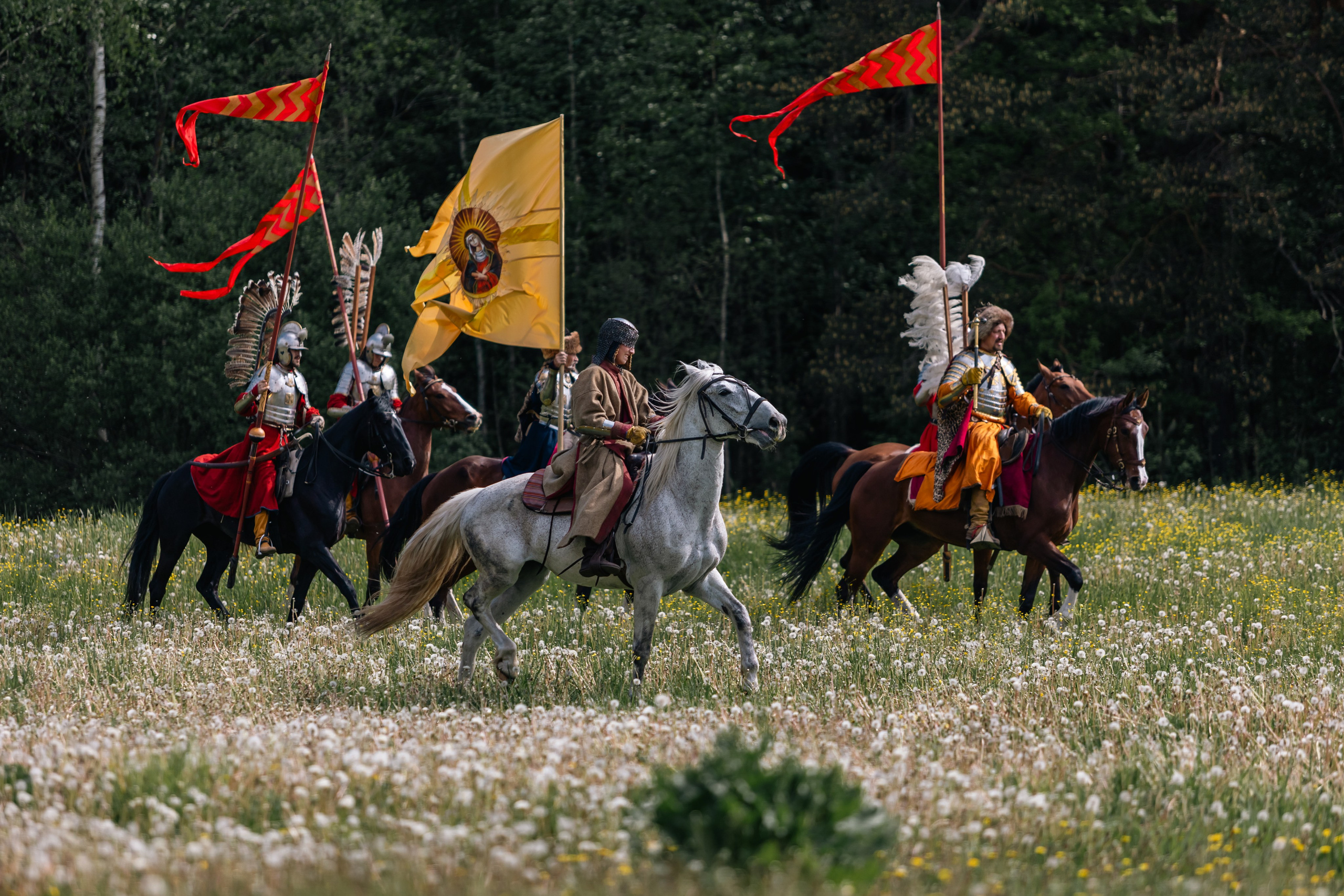 Золотая шпора. Маневры 17 века. Профессиональный интерьерный и репортажный фотограф Минск и РБ. Максим Орлов