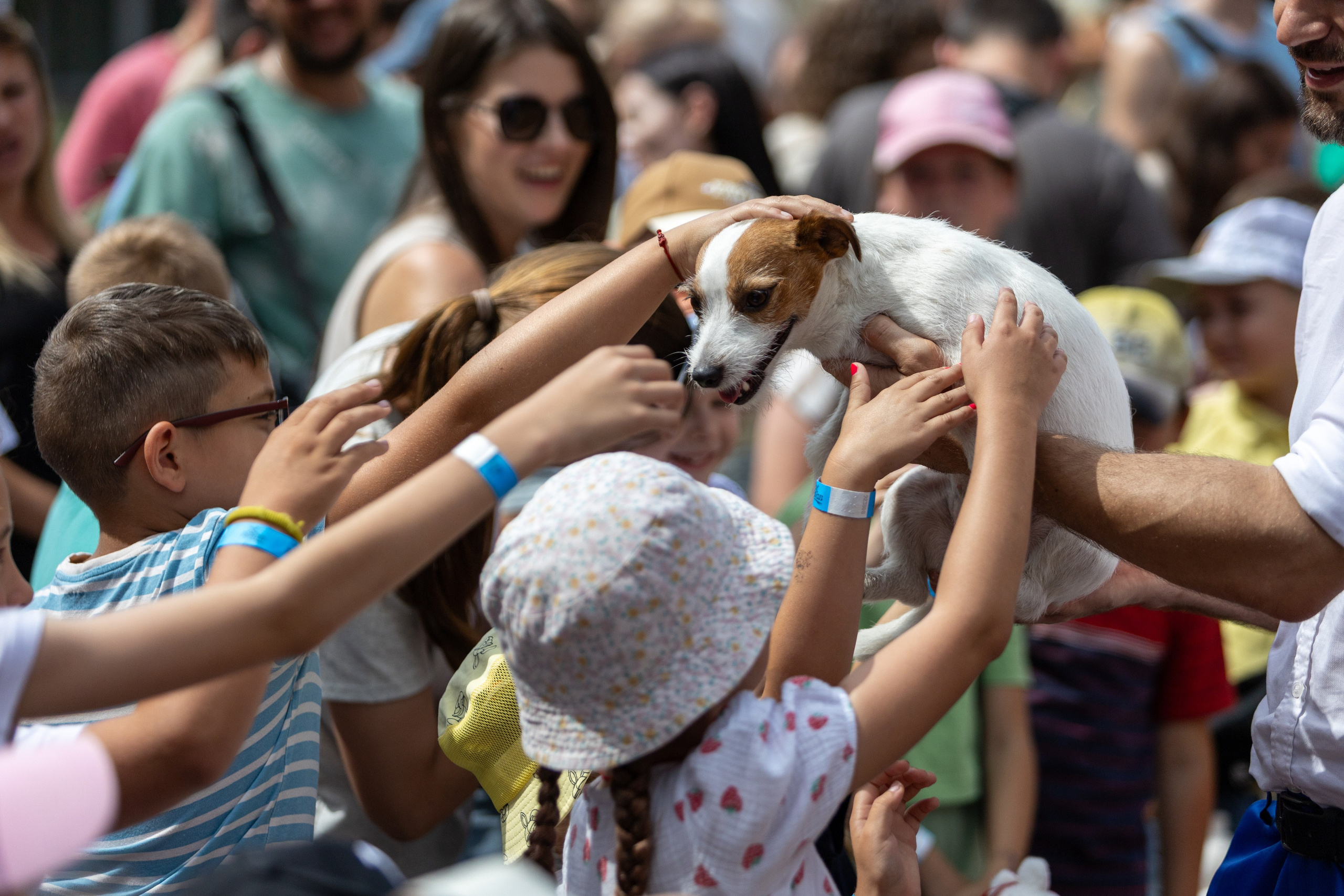 Детифест. Профессиональный интерьерный и репортажный фотограф Минск и РБ. Максим Орлов