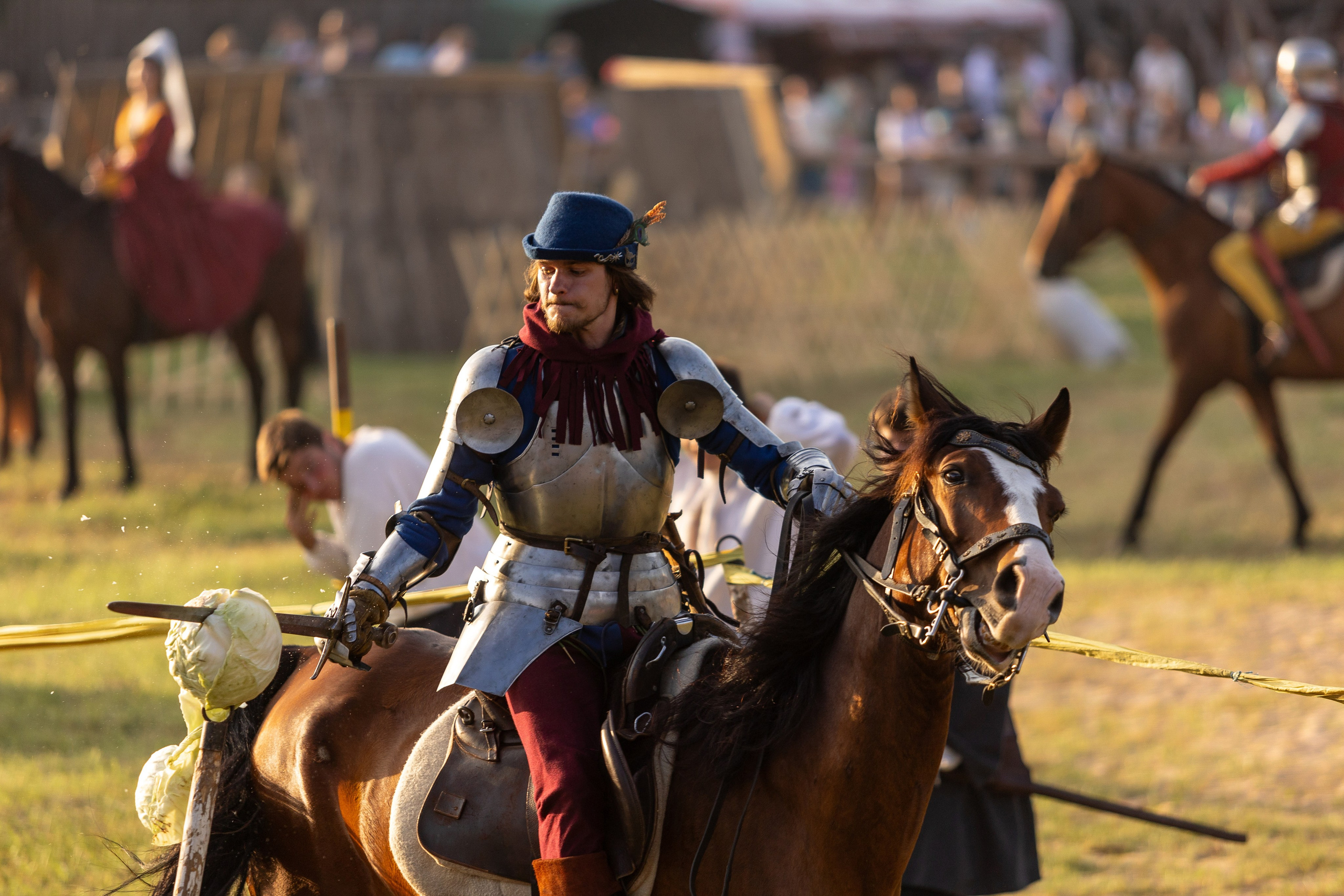 Рыцарский фест. Мстиславль. Профессиональный интерьерный и репортажный фотограф Минск и РБ. Максим Орлов