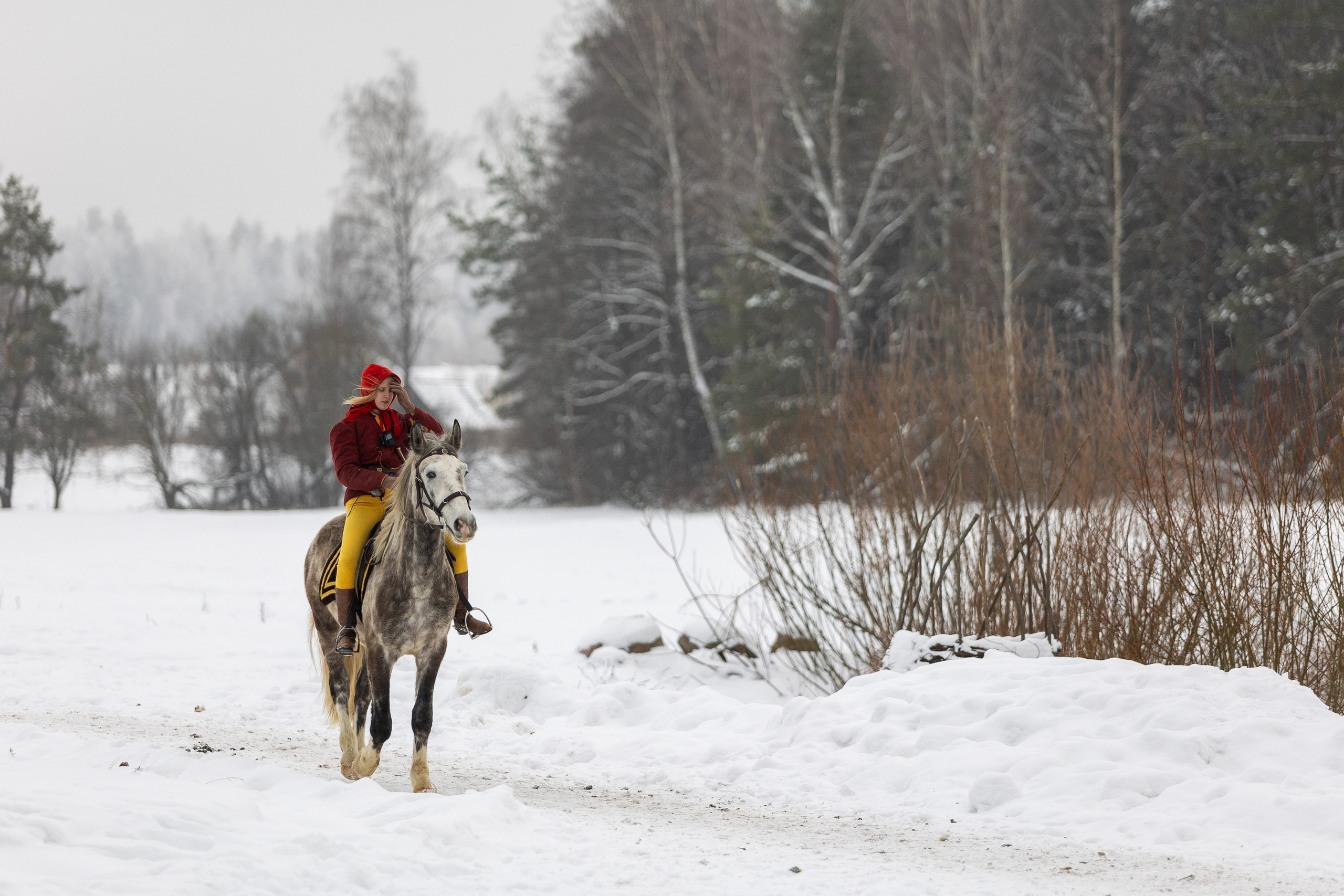 Зимние рыцарские маневры. Профессиональный интерьерный и репортажный фотограф Минск и РБ. Максим Орлов