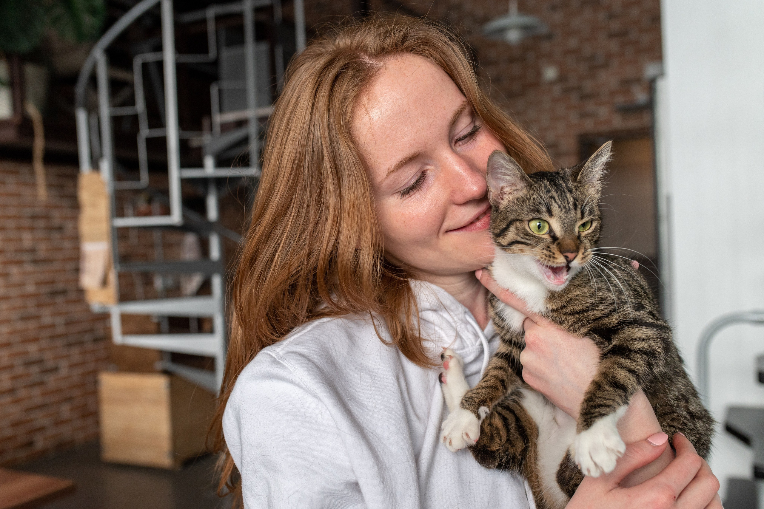 Котики для Old Cat. Профессиональный интерьерный и репортажный фотограф Минск и РБ. Максим Орлов