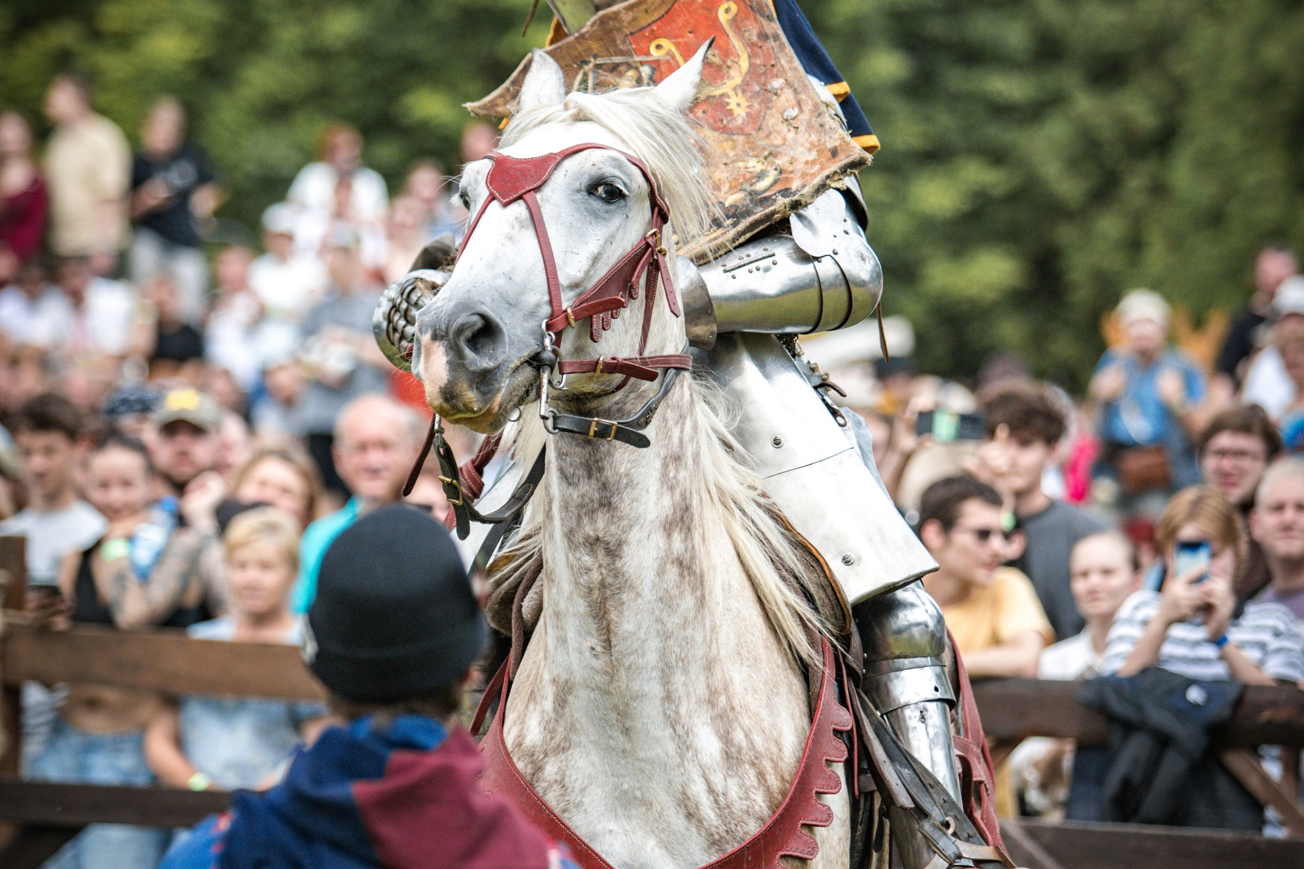 Наш Грюнвальд 2025. Рыцарский турнир. Профессиональный интерьерный и репортажный фотограф Минск и РБ. Максим Орлов