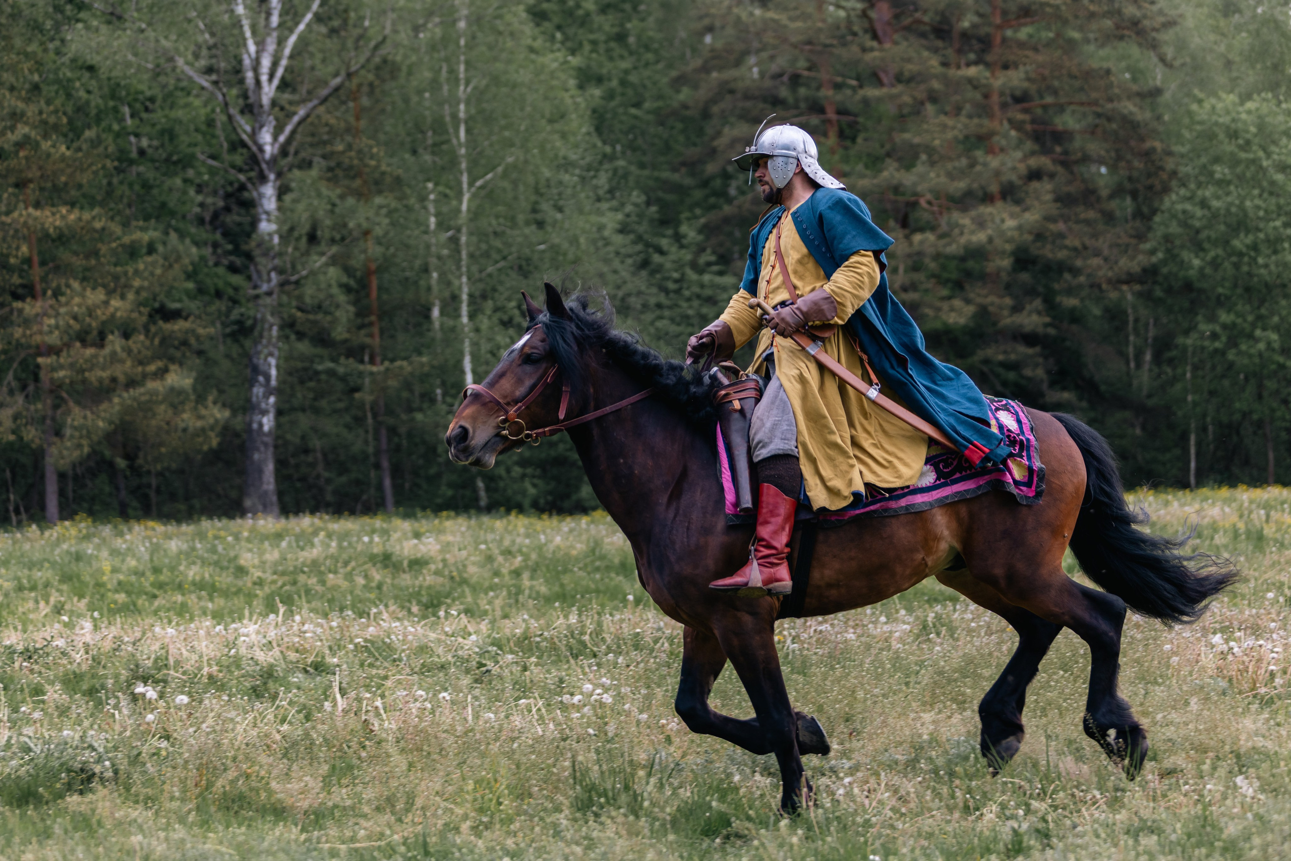 Золотая шпора. Маневры 17 века. Профессиональный интерьерный и репортажный фотограф Минск и РБ. Максим Орлов