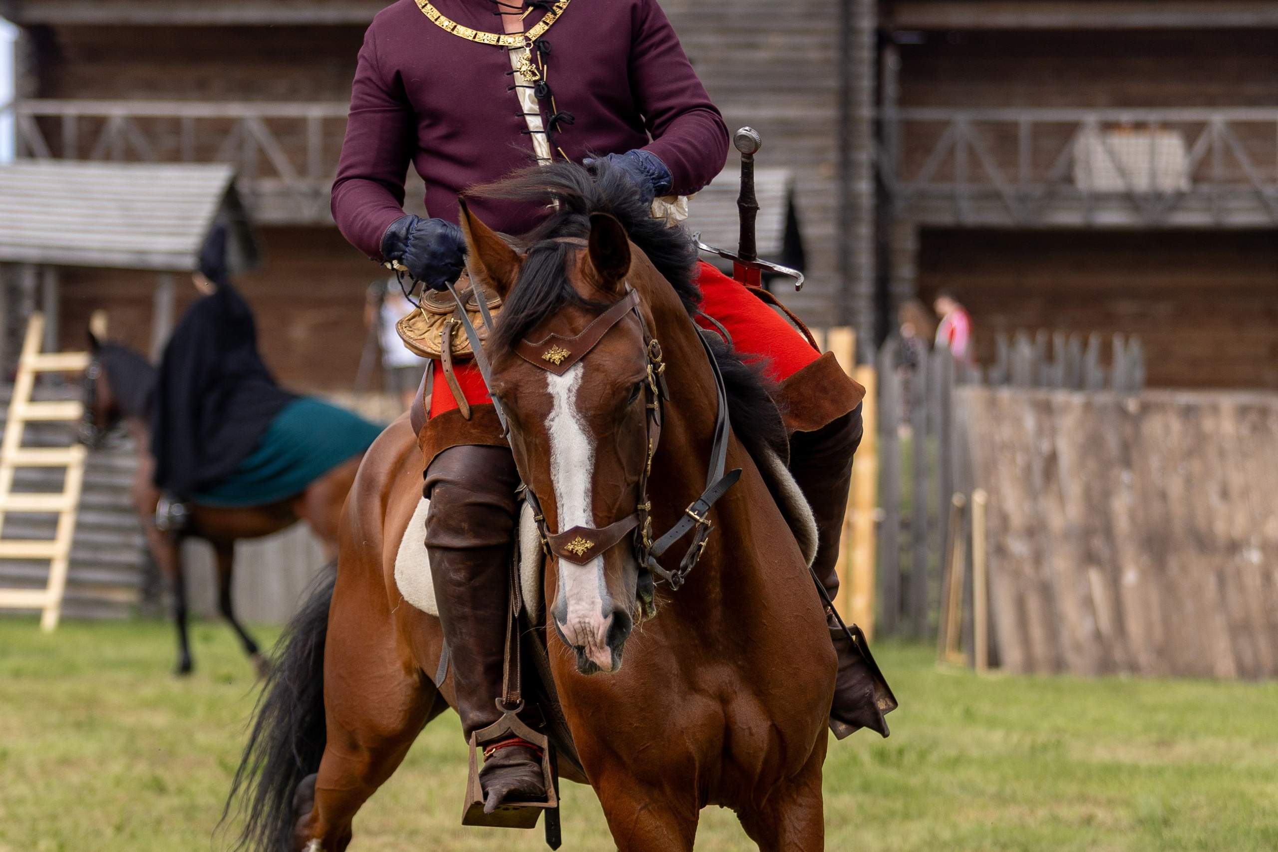 Рыцарский фест. Мстиславль. Профессиональный интерьерный и репортажный фотограф Минск и РБ. Максим Орлов