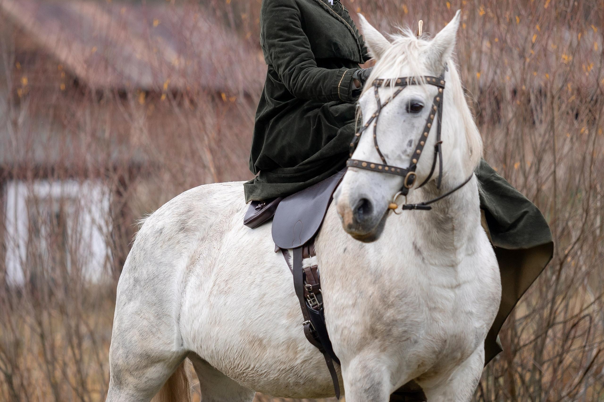 Ампирный выезд. Профессиональный интерьерный и репортажный фотограф Минск и РБ. Максим Орлов
