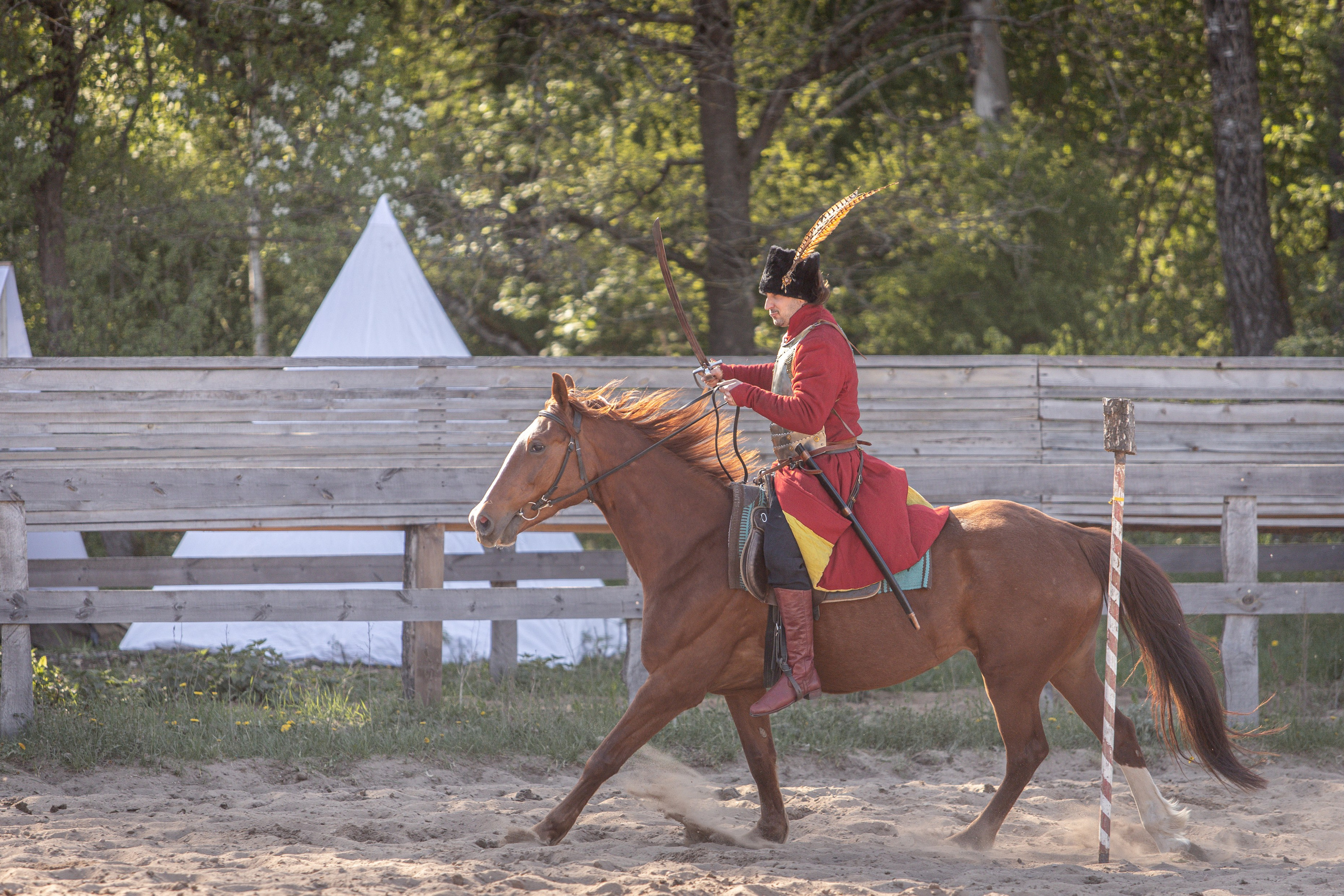 Золотая Шпора. Огнем и Мечем. День первый. Рыцарский турнир. Профессиональный интерьерный и репортажный фотограф Минск и РБ. Максим Орлов