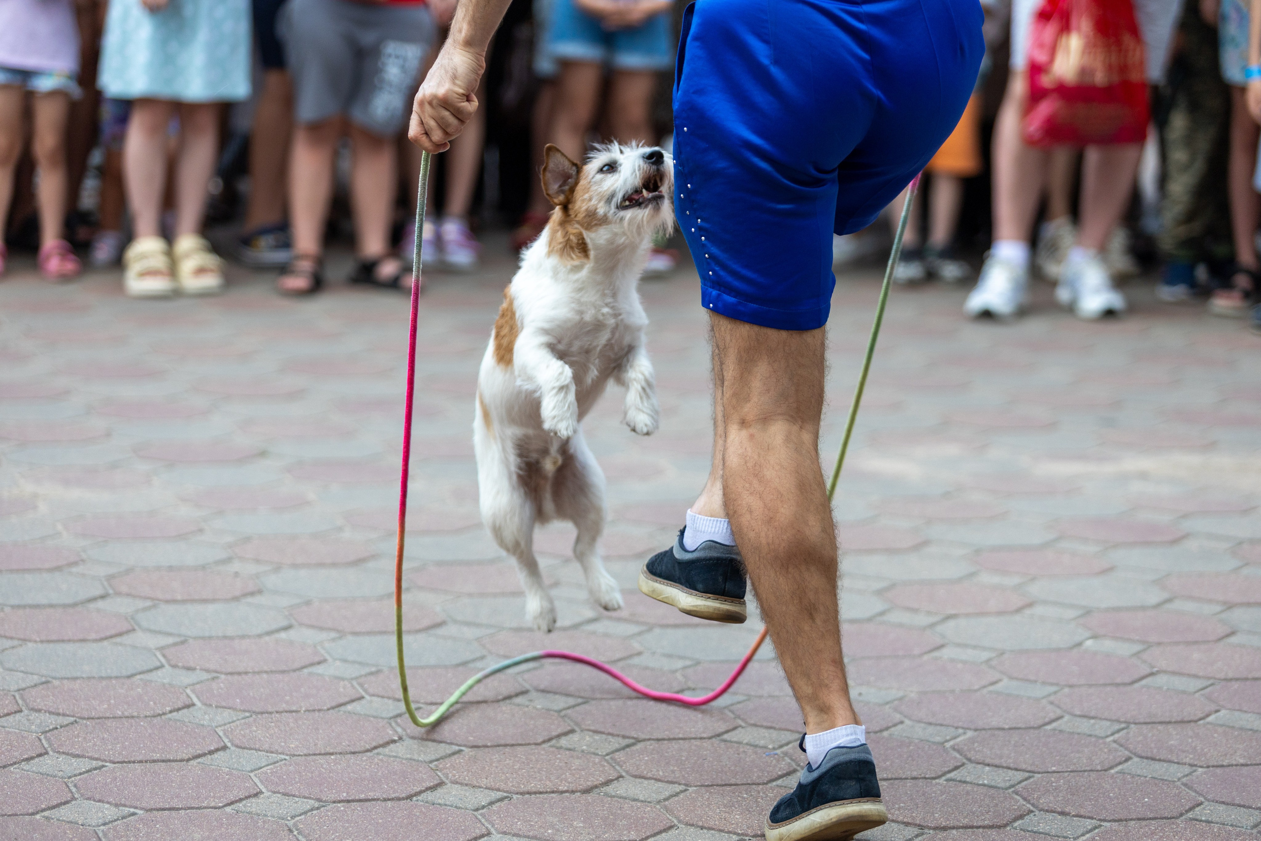 Детифест. Профессиональный интерьерный и репортажный фотограф Минск и РБ. Максим Орлов