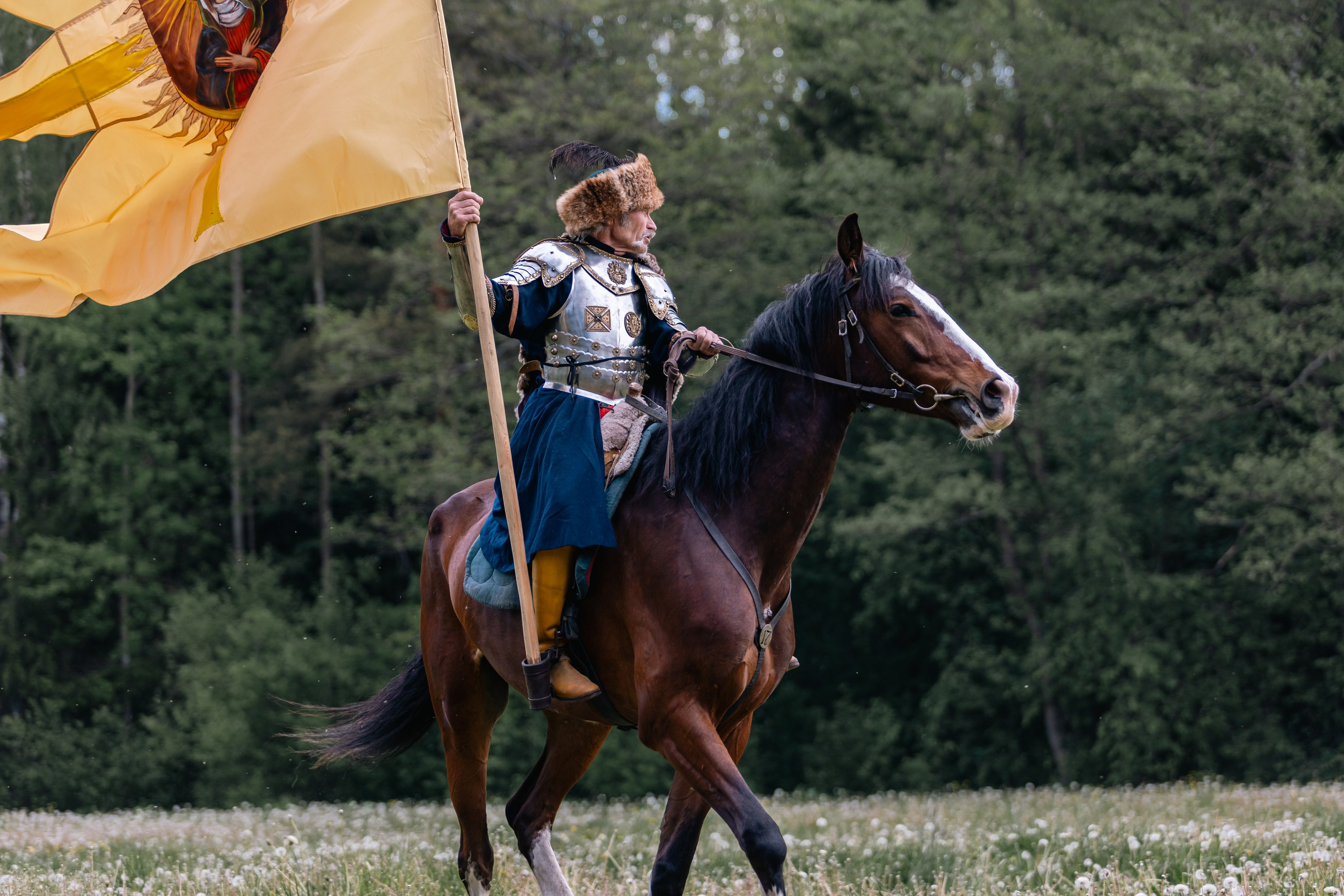 Золотая шпора. Маневры 17 века. Профессиональный интерьерный и репортажный фотограф Минск и РБ. Максим Орлов