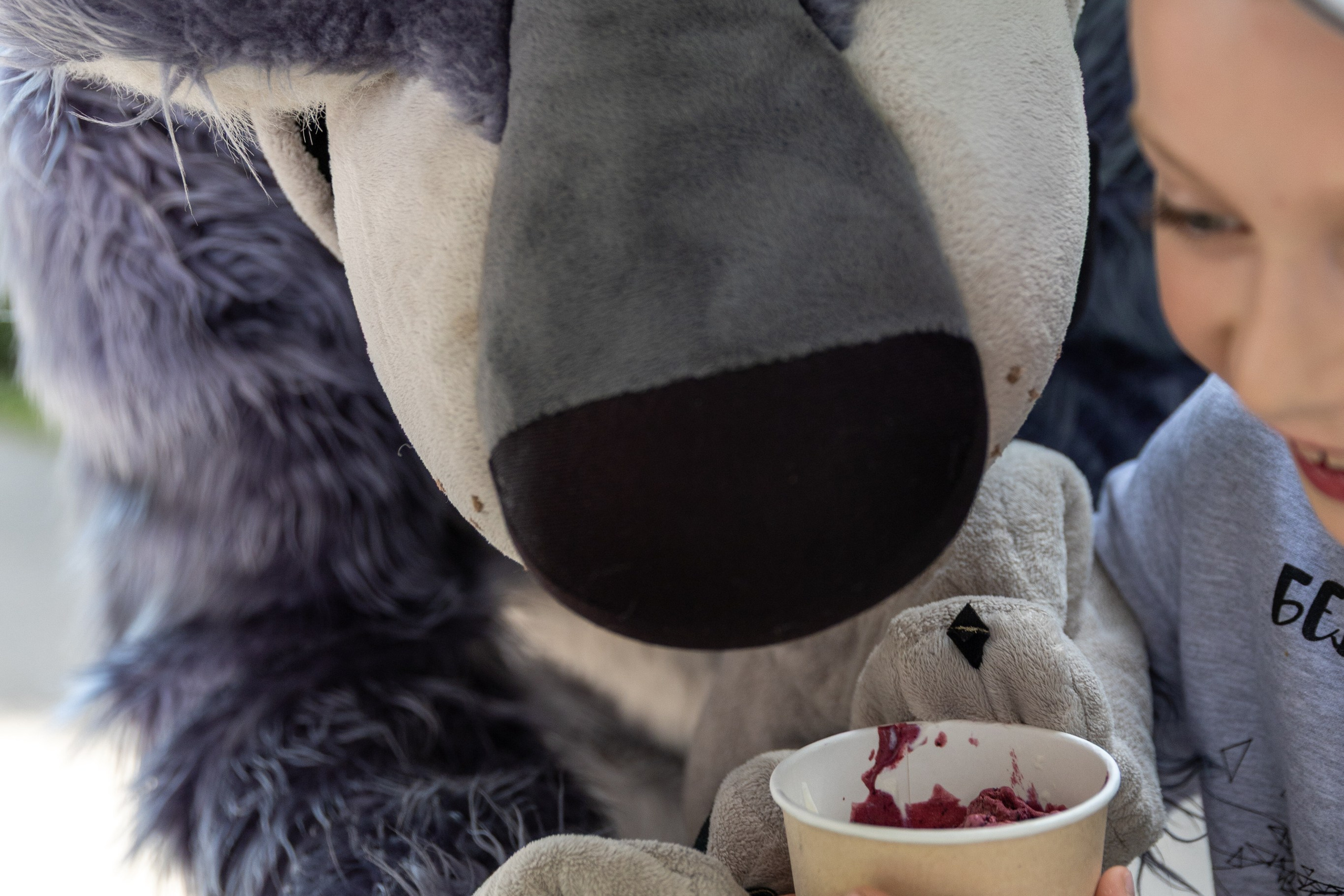 Детифест. Профессиональный интерьерный и репортажный фотограф Минск и РБ. Максим Орлов