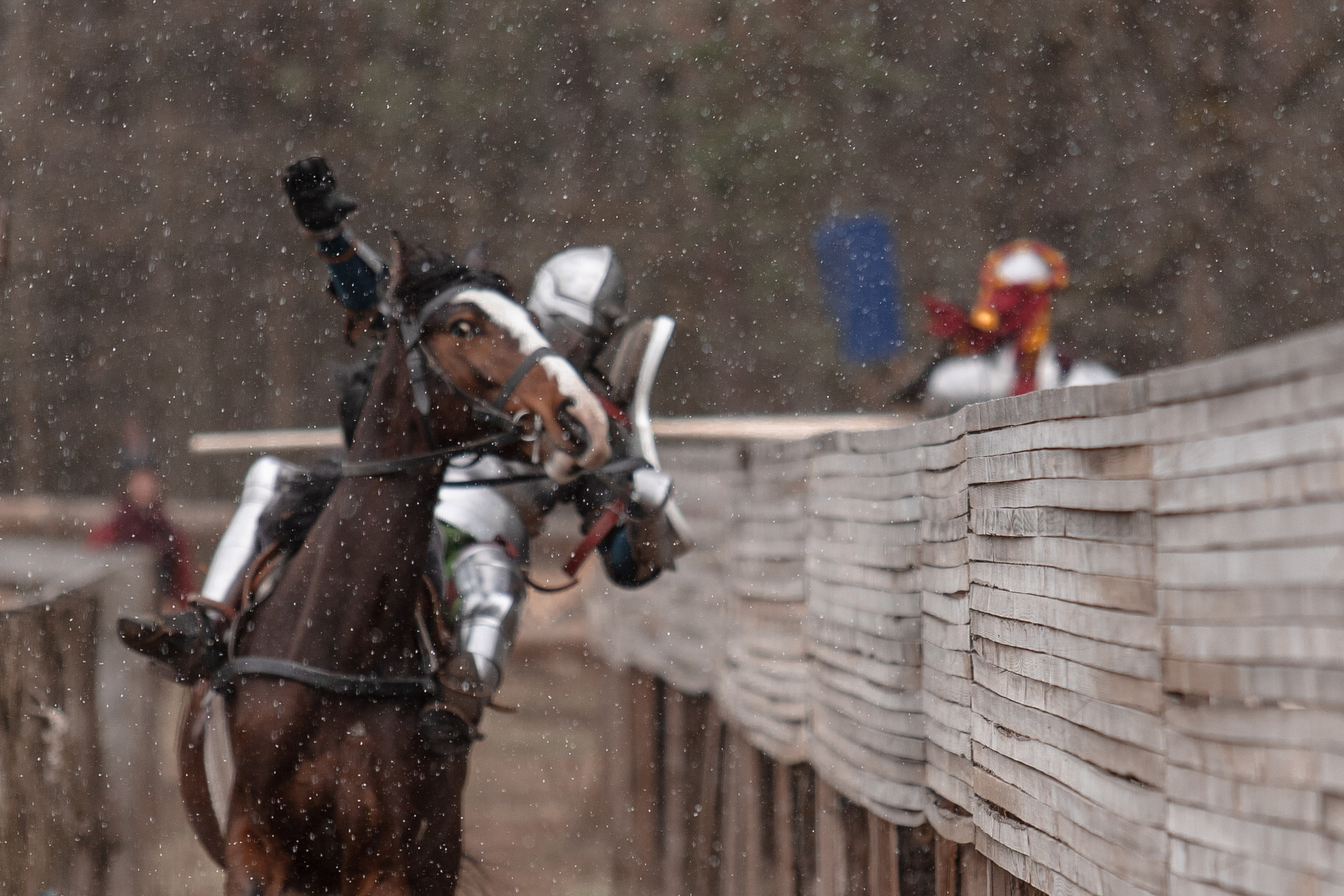 Турнир «Золотой шпоры». Профессиональный интерьерный и репортажный фотограф Минск и РБ. Максим Орлов