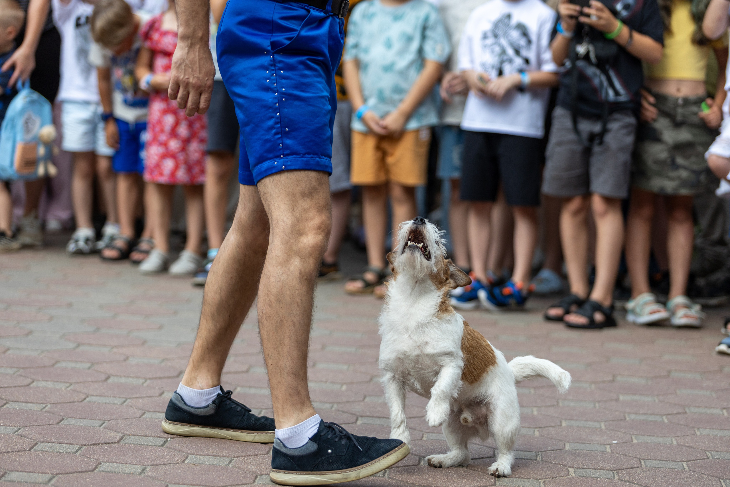 Детифест. Профессиональный интерьерный и репортажный фотограф Минск и РБ. Максим Орлов