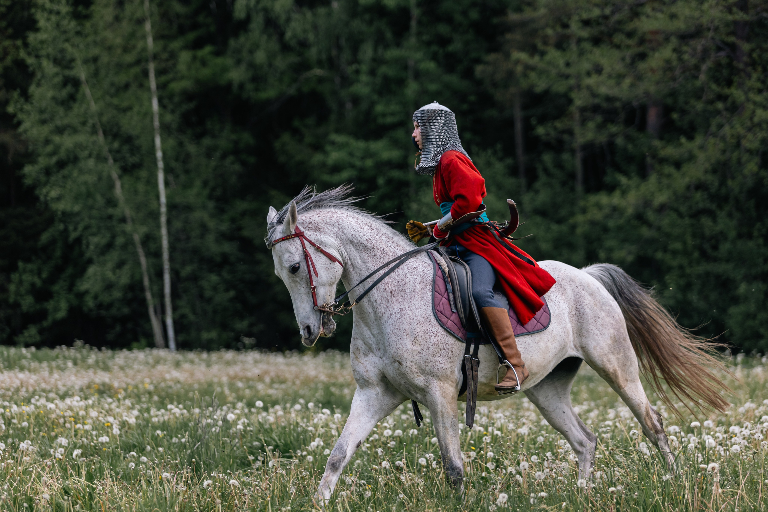 Золотая шпора. Маневры 17 века. Профессиональный интерьерный и репортажный фотограф Минск и РБ. Максим Орлов