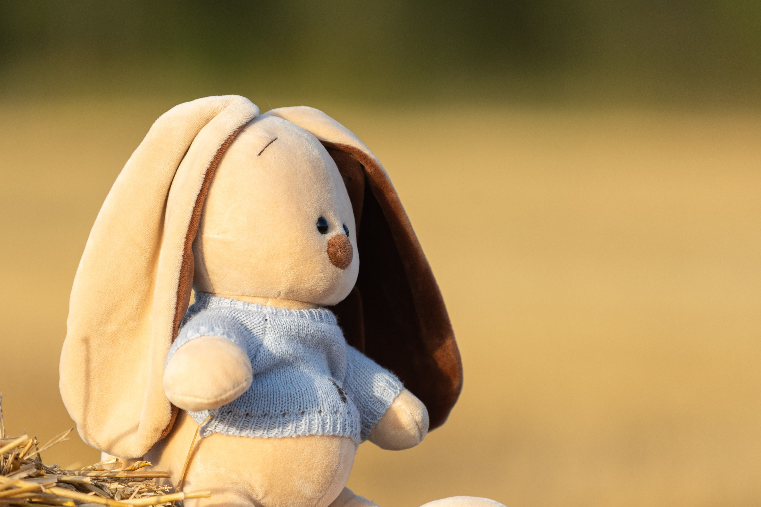 Семейная фотосъемка Кристины с сыном Костей. Профессиональный интерьерный и репортажный фотограф Минск и РБ. Максим Орлов