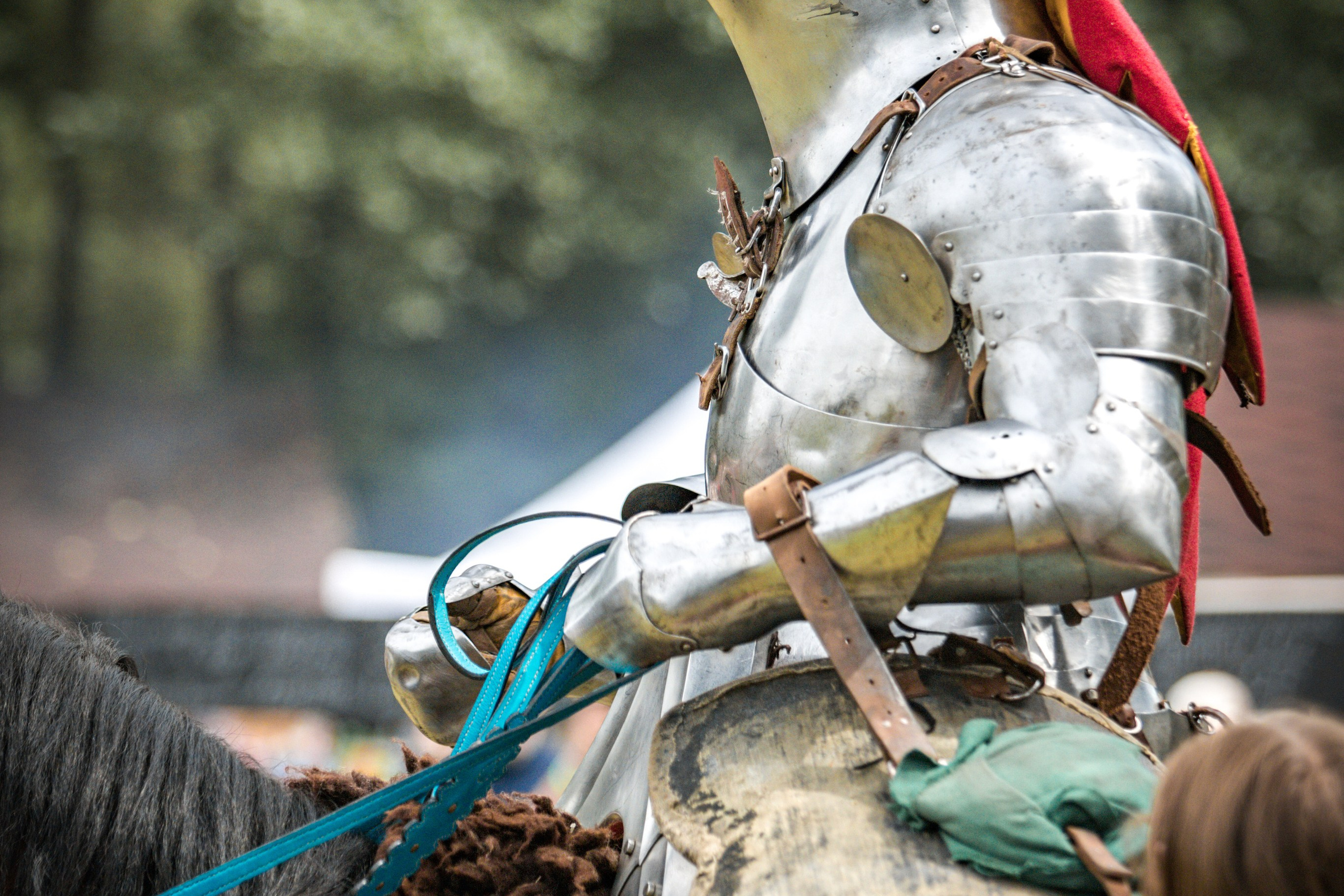 Наш Грюнвальд 2025. Рыцарский турнир. Профессиональный интерьерный и репортажный фотограф Минск и РБ. Максим Орлов