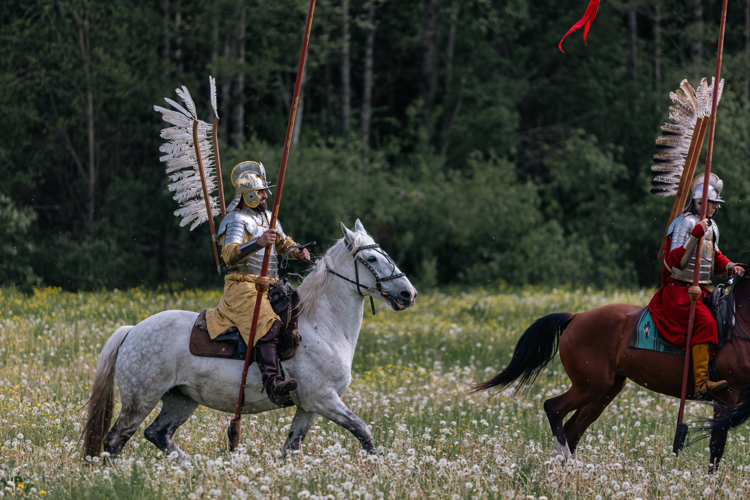 Золотая шпора. Маневры 17 века. Профессиональный интерьерный и репортажный фотограф Минск и РБ. Максим Орлов