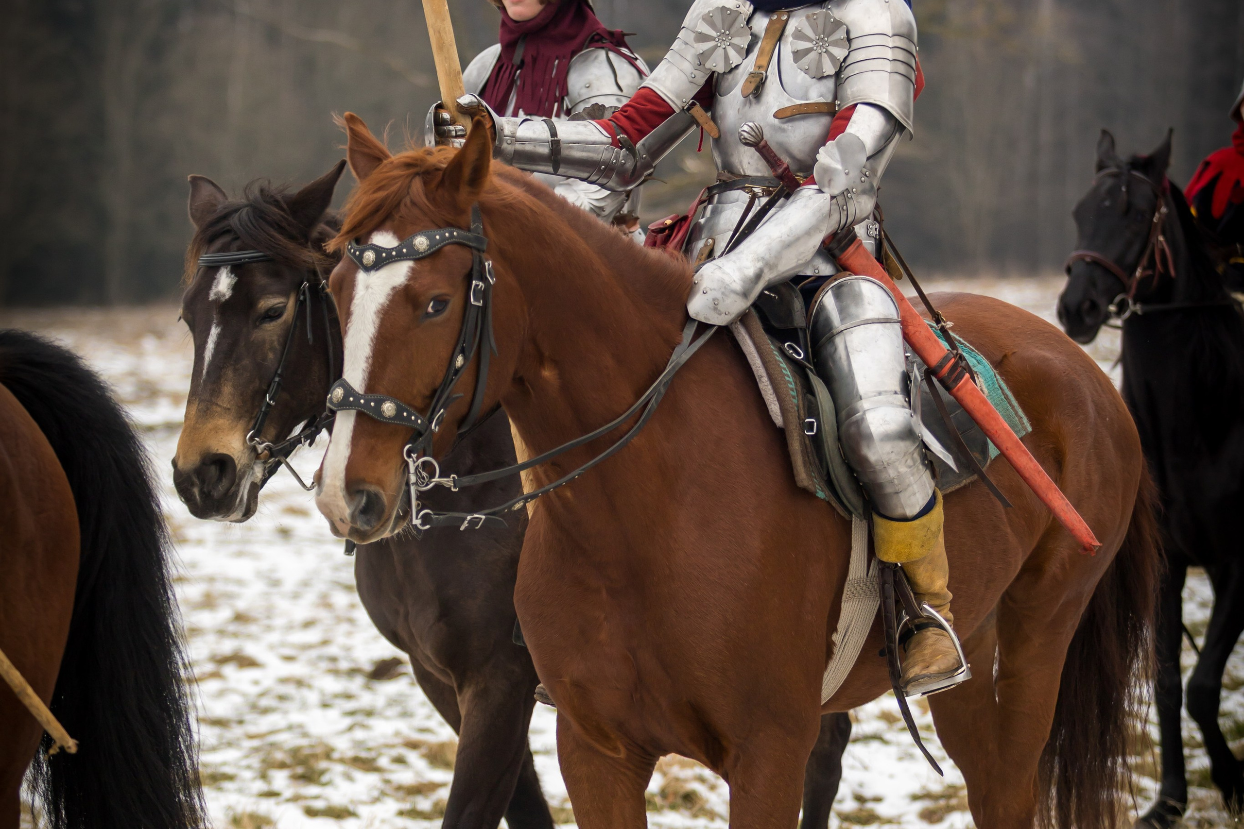 Зимние маневры «Золотой шпоры». 2025. Профессиональный интерьерный и репортажный фотограф Минск и РБ. Максим Орлов