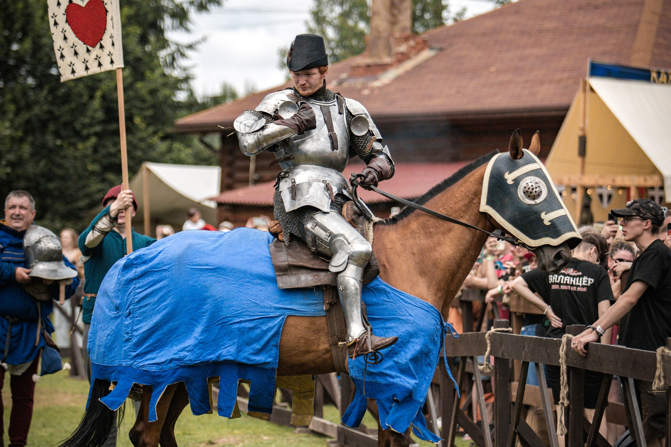 Наш Грюнвальд 2025. Рыцарский турнир. Профессиональный интерьерный и репортажный фотограф Минск и РБ. Максим Орлов