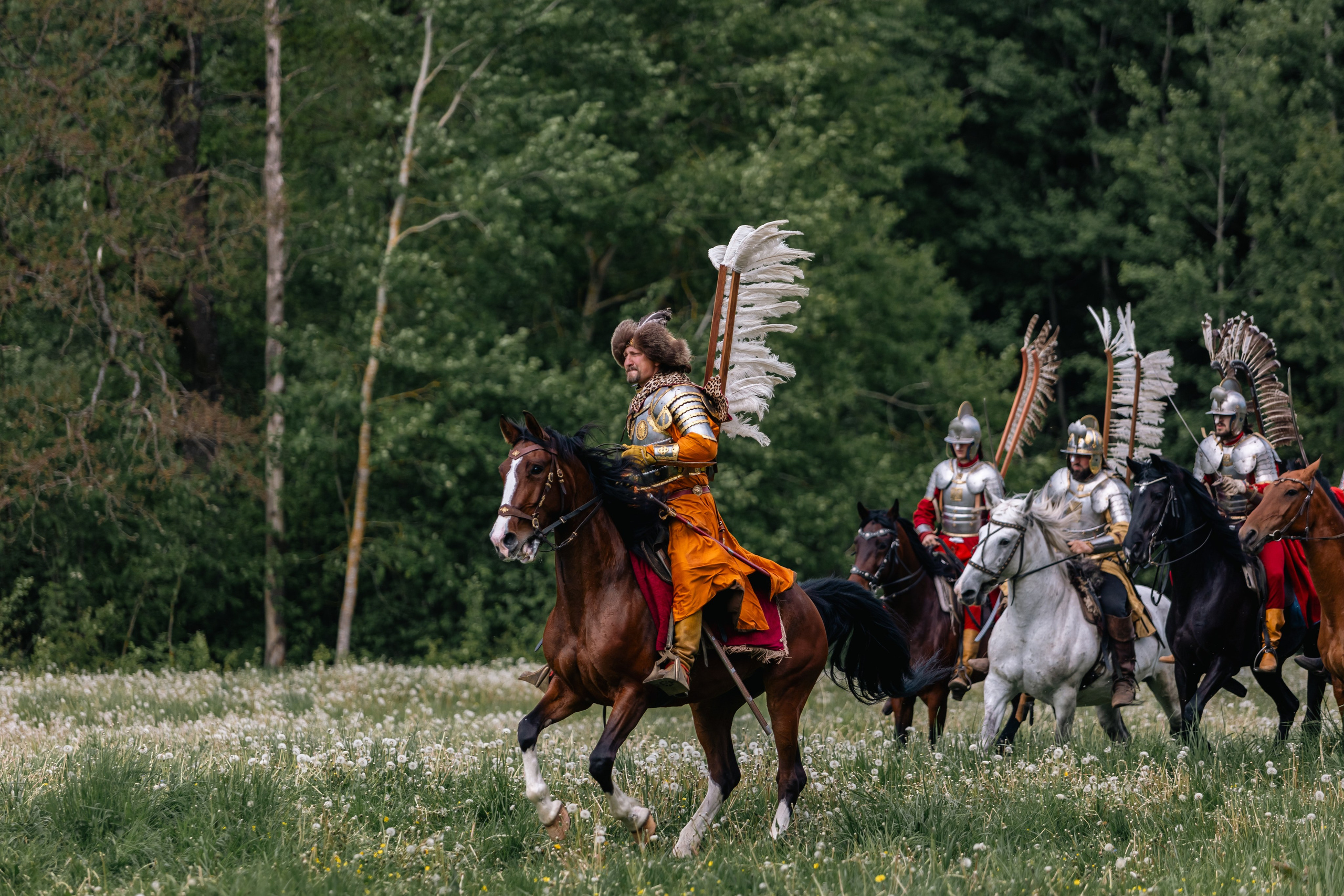 Золотая шпора. Маневры 17 века. Профессиональный интерьерный и репортажный фотограф Минск и РБ. Максим Орлов