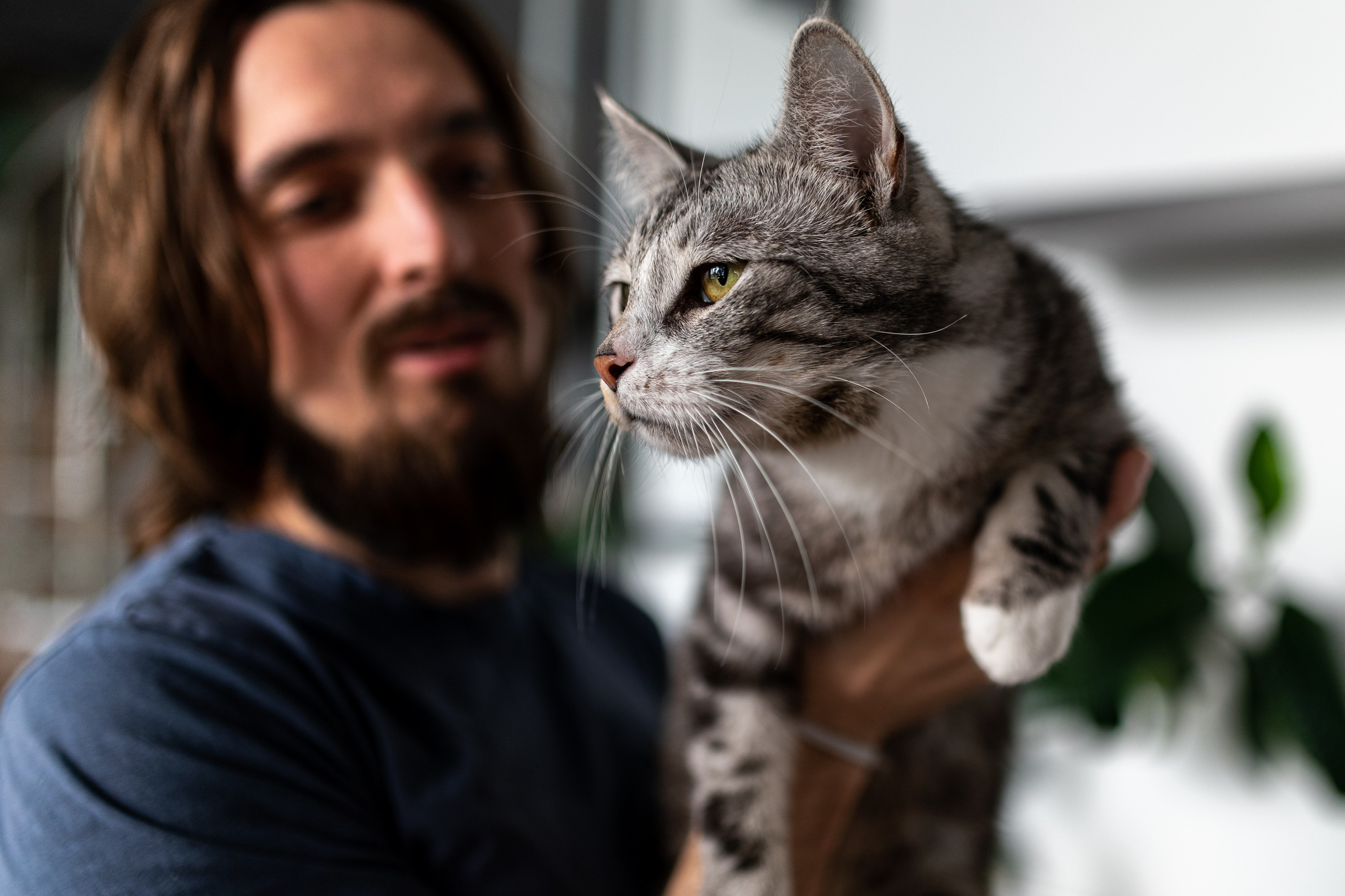 Котики для Old Cat. Профессиональный интерьерный и репортажный фотограф Минск и РБ. Максим Орлов