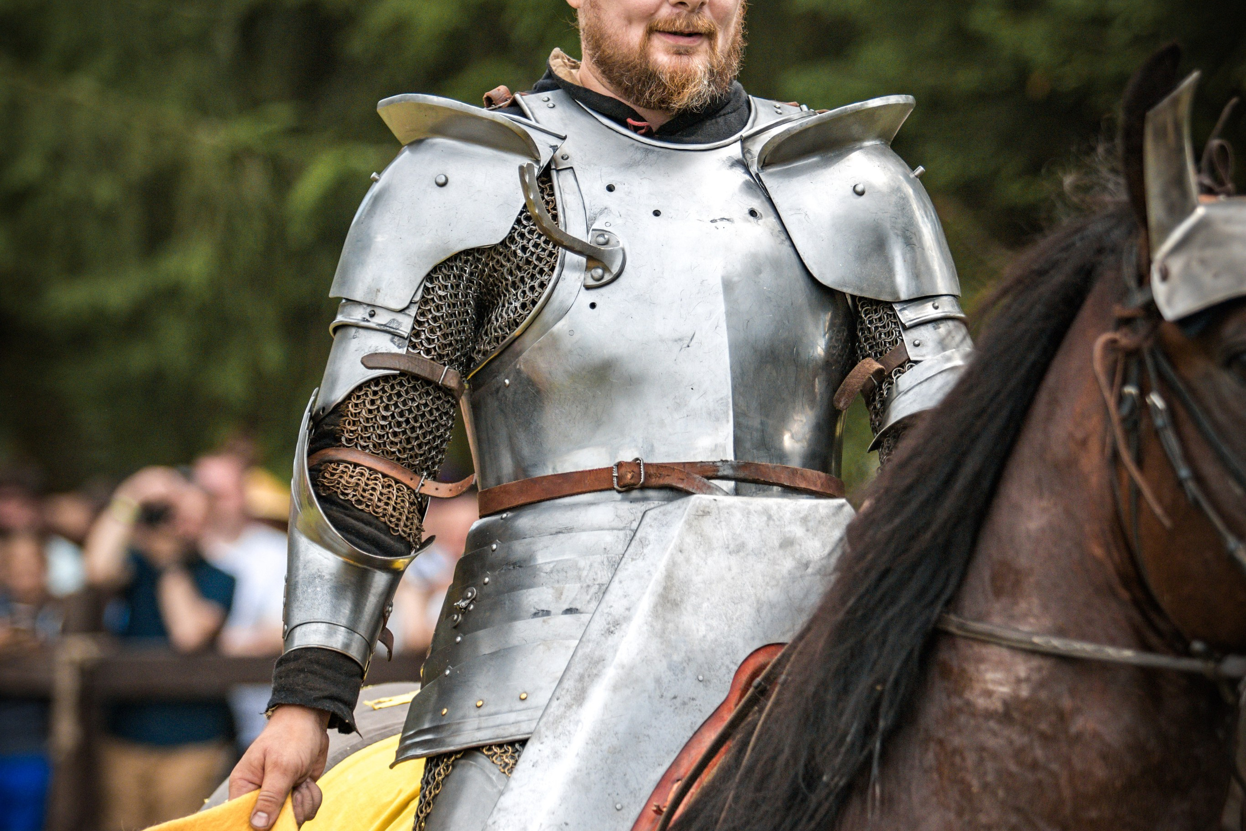 Наш Грюнвальд 2025. Рыцарский турнир. Профессиональный интерьерный и репортажный фотограф Минск и РБ. Максим Орлов