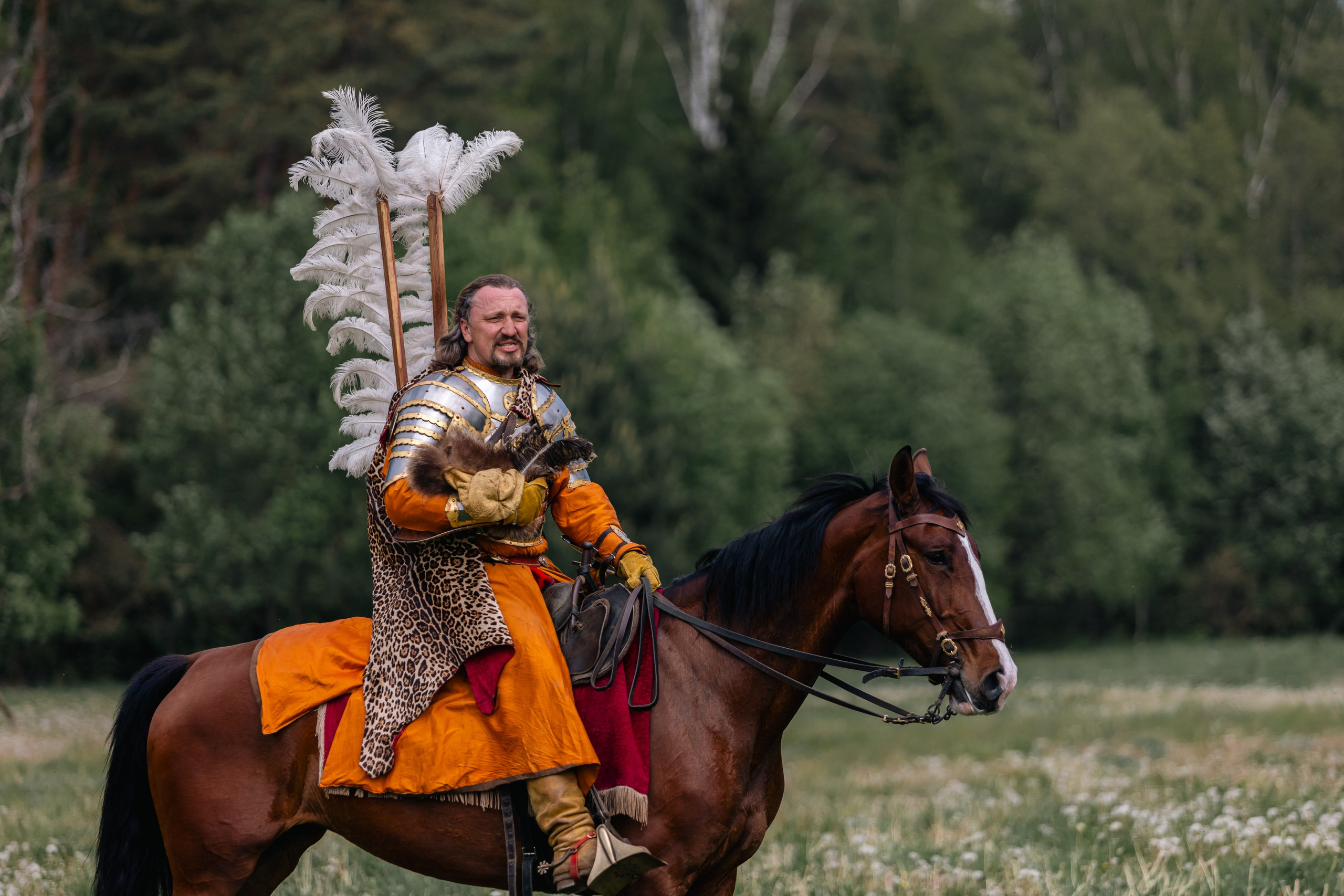 Золотая шпора. Маневры 17 века. Профессиональный интерьерный и репортажный фотограф Минск и РБ. Максим Орлов