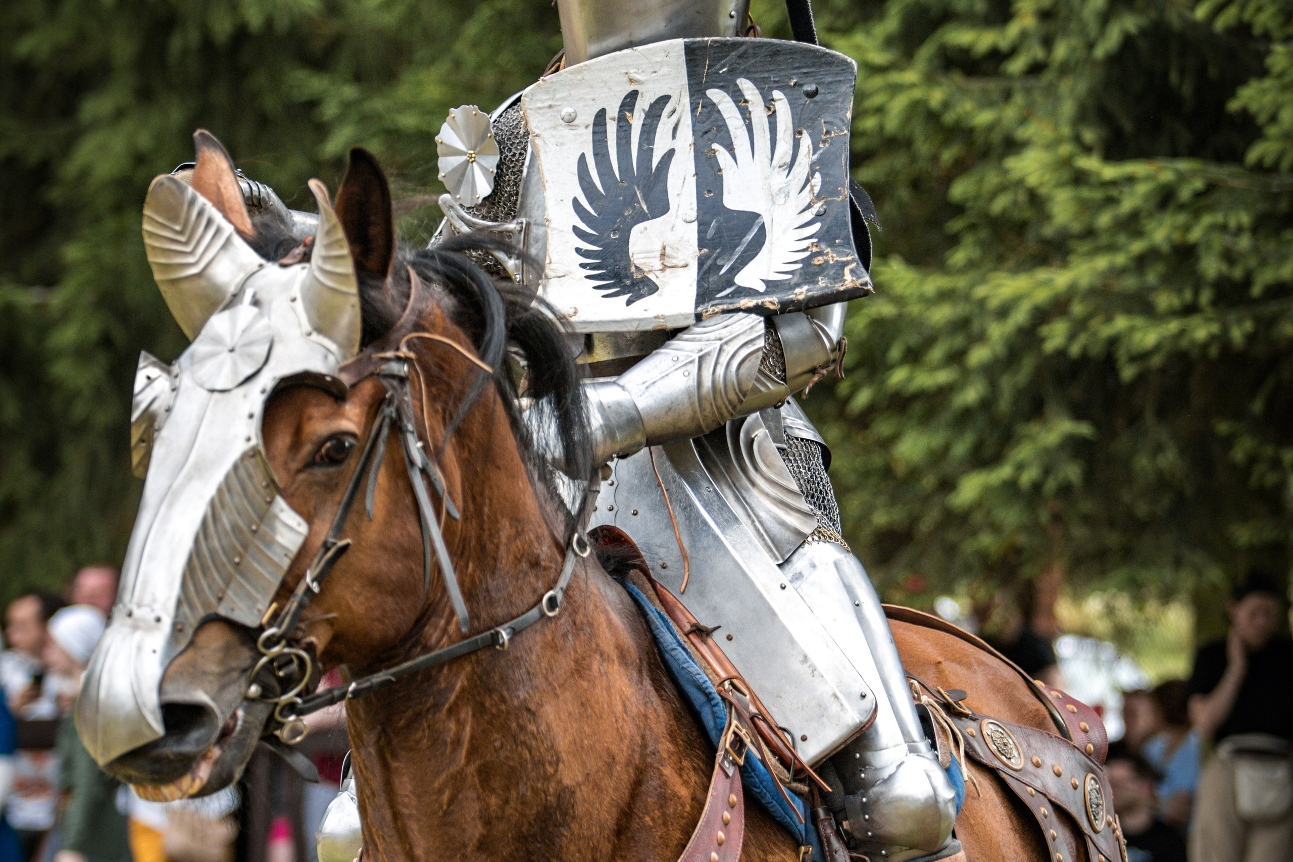 Наш Грюнвальд 2025. Рыцарский турнир. Профессиональный интерьерный и репортажный фотограф Минск и РБ. Максим Орлов