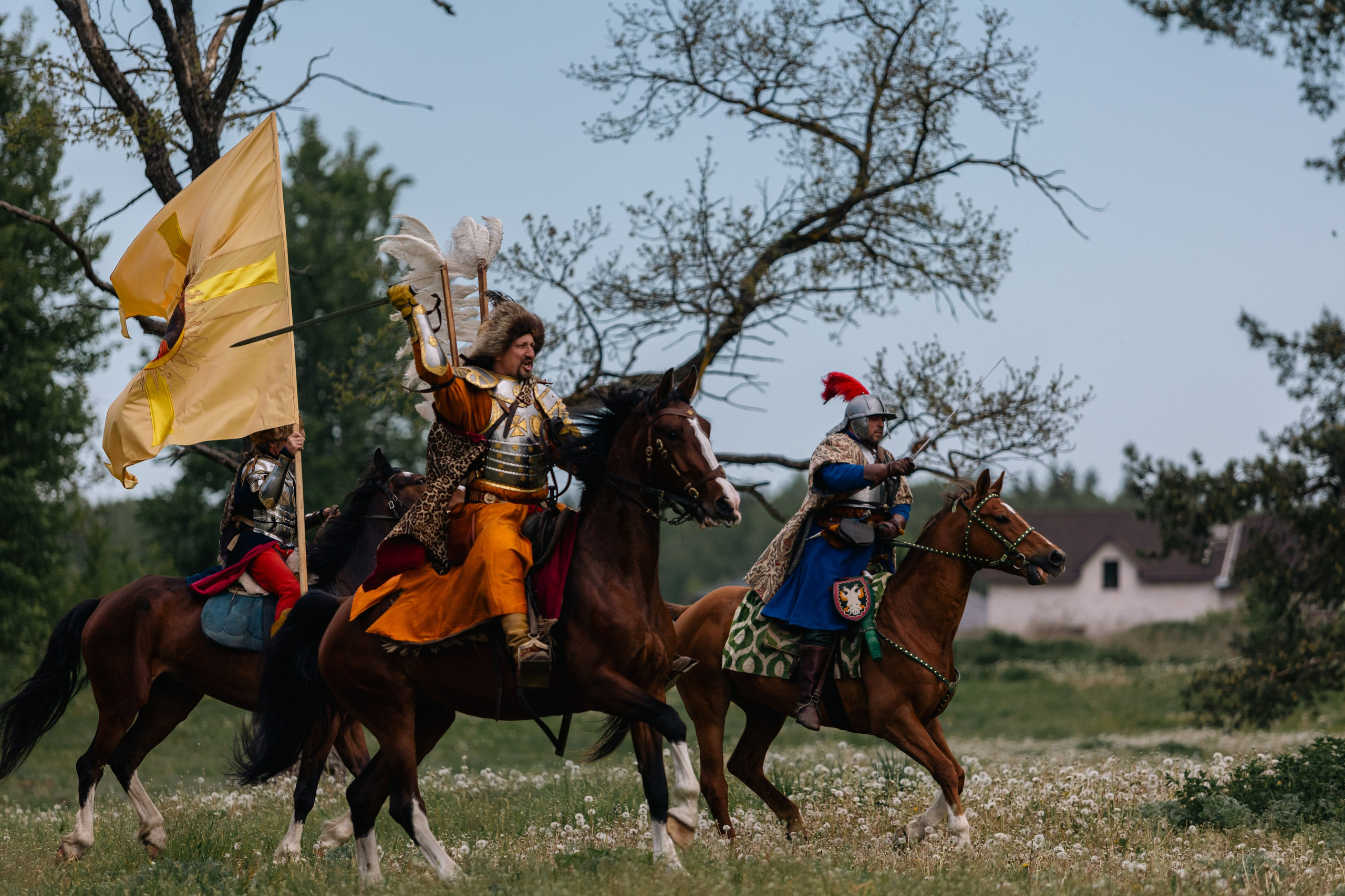 Золотая шпора. Маневры 17 века. Профессиональный интерьерный и репортажный фотограф Минск и РБ. Максим Орлов