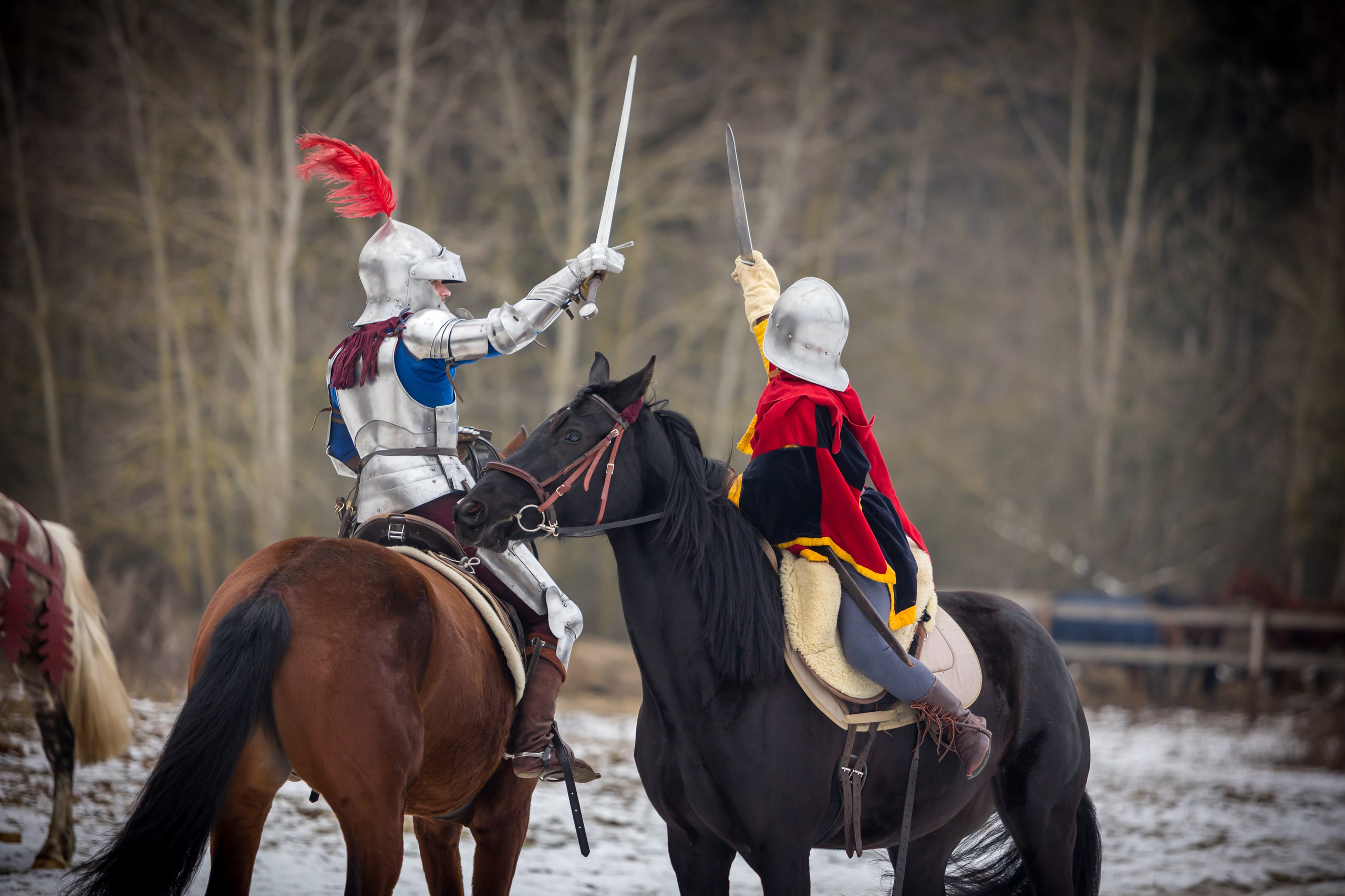 Зимние маневры «Золотой шпоры». 2025. Профессиональный интерьерный и репортажный фотограф Минск и РБ. Максим Орлов