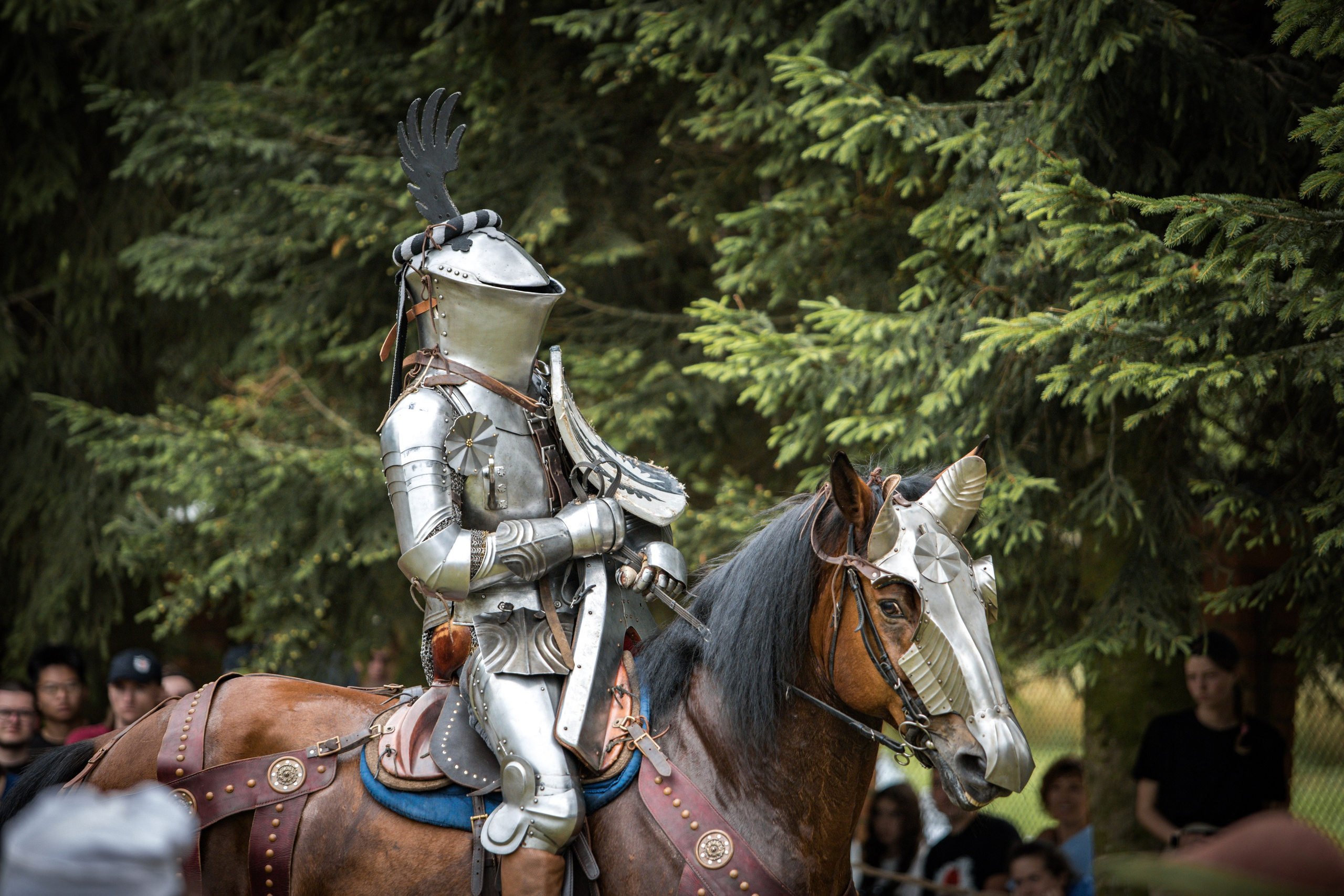 Наш Грюнвальд 2025. Рыцарский турнир. Профессиональный интерьерный и репортажный фотограф Минск и РБ. Максим Орлов