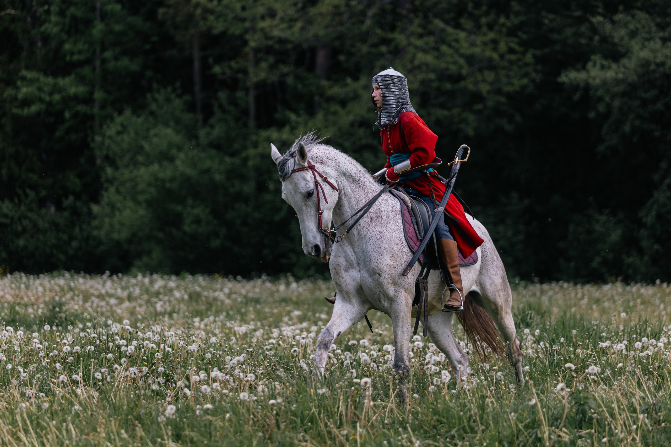 Золотая шпора. Маневры 17 века. Профессиональный интерьерный и репортажный фотограф Минск и РБ. Максим Орлов