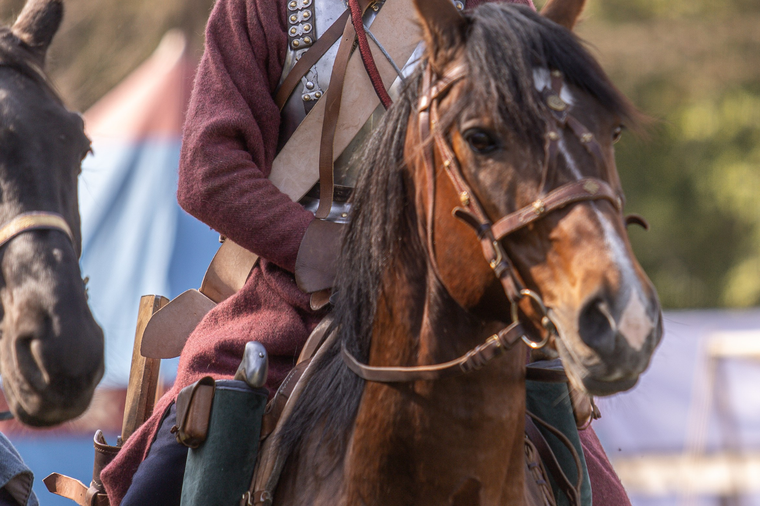 Золотая Шпора. Огнем и Мечем. День первый. Рыцарский турнир. Профессиональный интерьерный и репортажный фотограф Минск и РБ. Максим Орлов