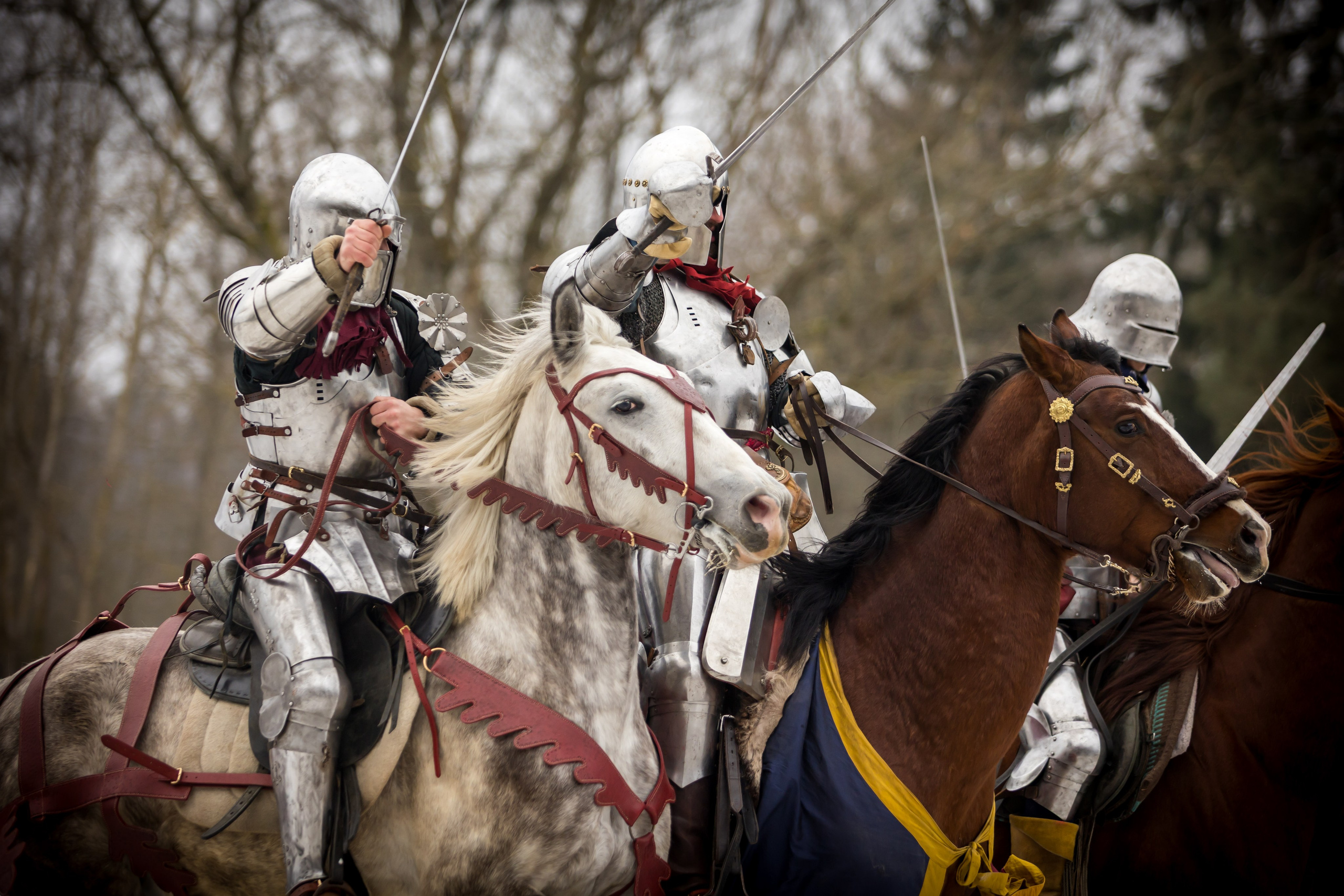 Зимние маневры «Золотой шпоры». 2025. Профессиональный интерьерный и репортажный фотограф Минск и РБ. Максим Орлов